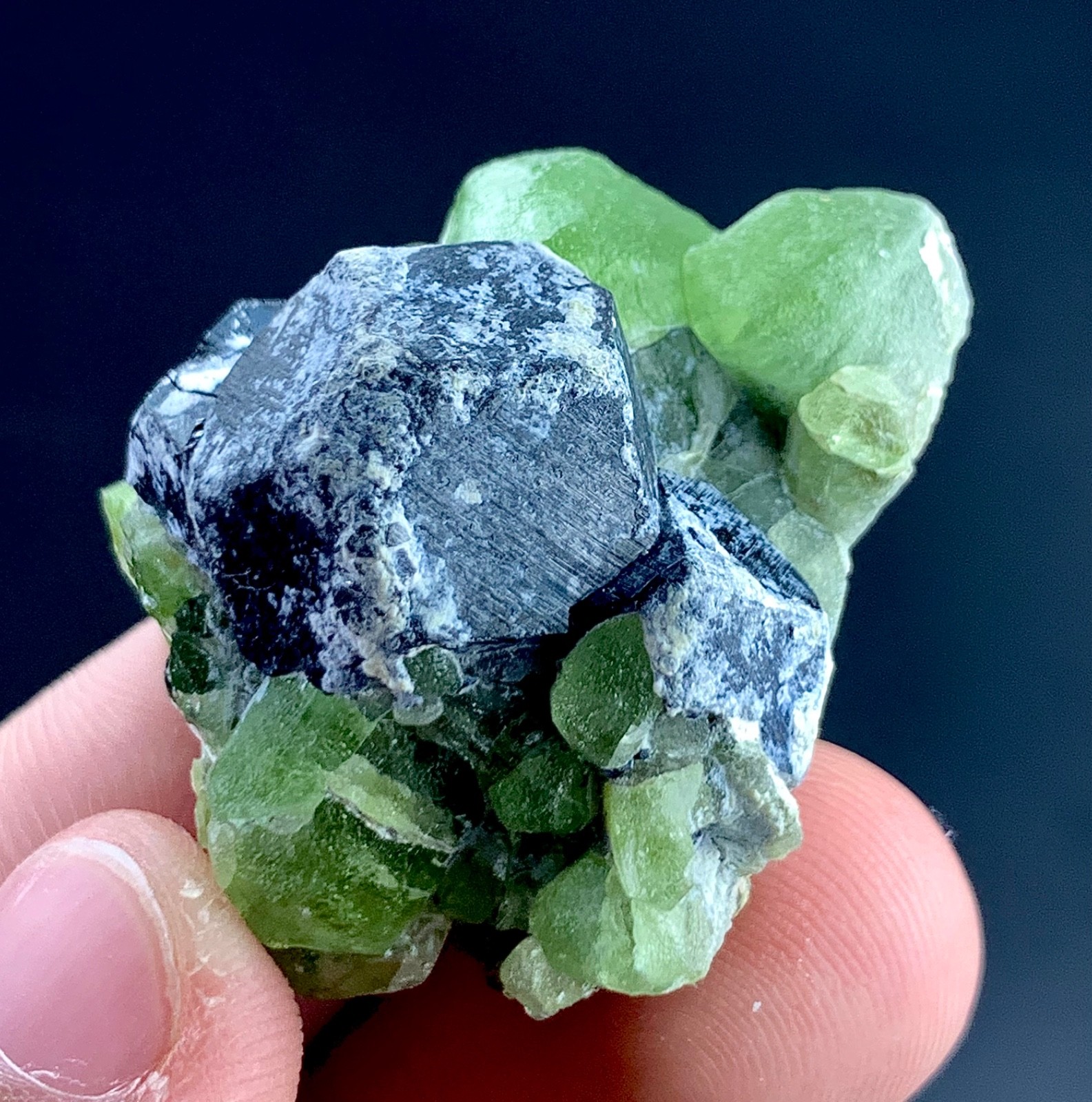 Peridot Crystal Specimen From Pakistan 146 Carat