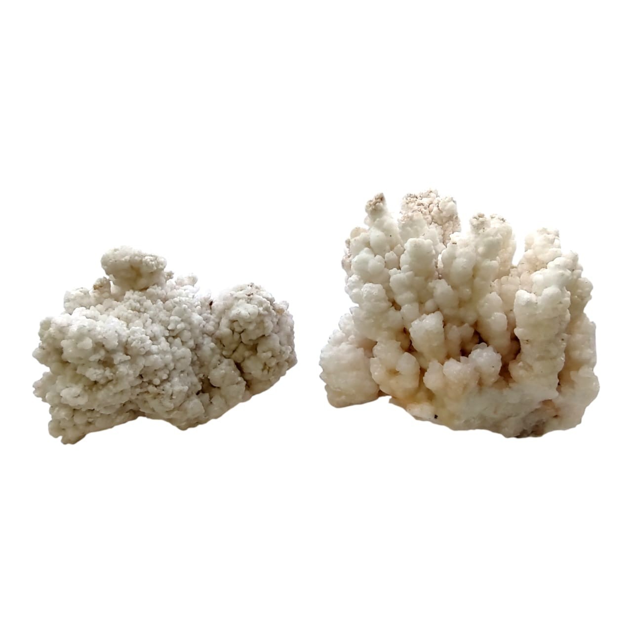 1.86 lbs Massive Botryoidal Hydrozincite (2 Pcs) – Coralloidal Zinc Cabinet