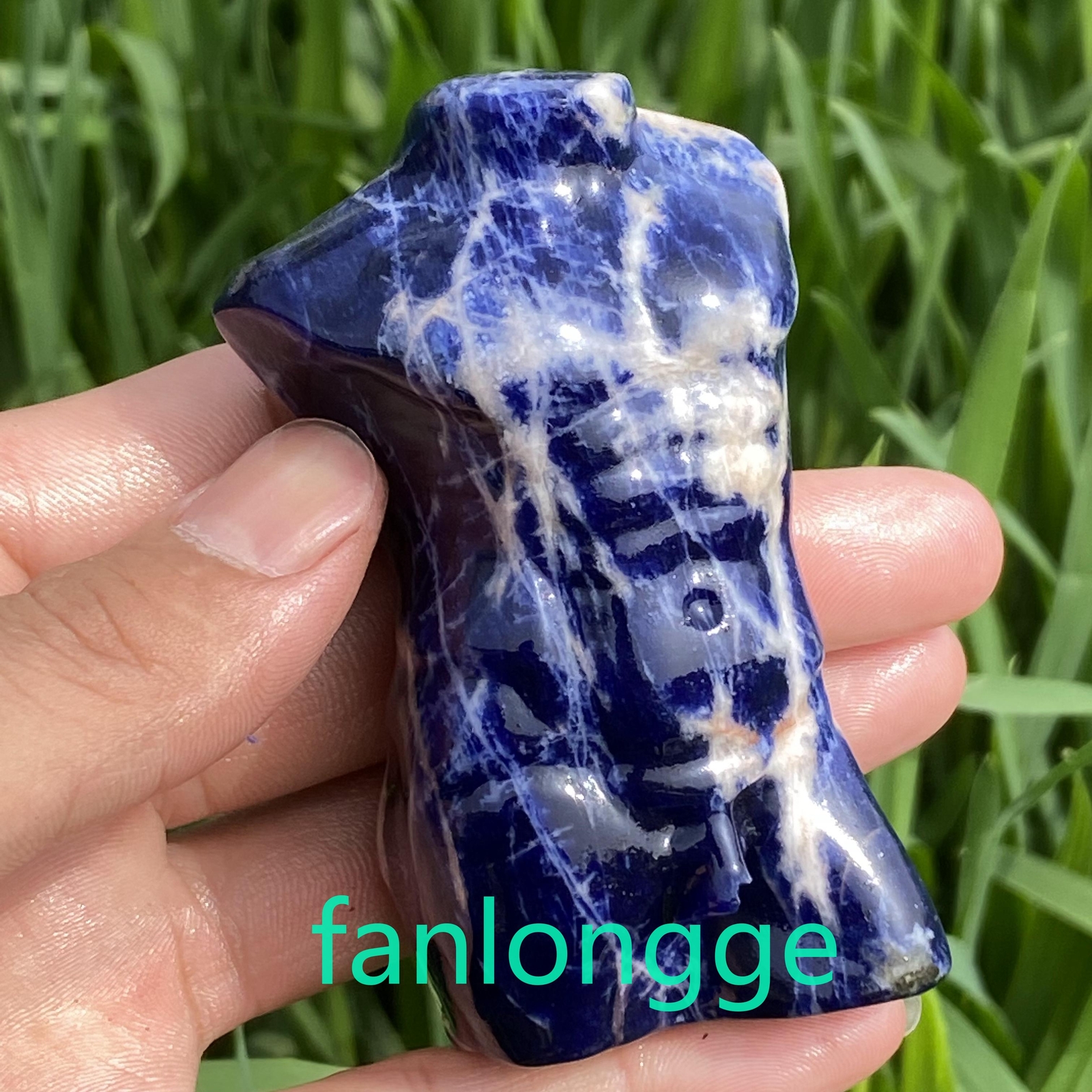 3.2in Natural Sodalite male Quartz Crystal skull Body Sculpture Reiki 1PC