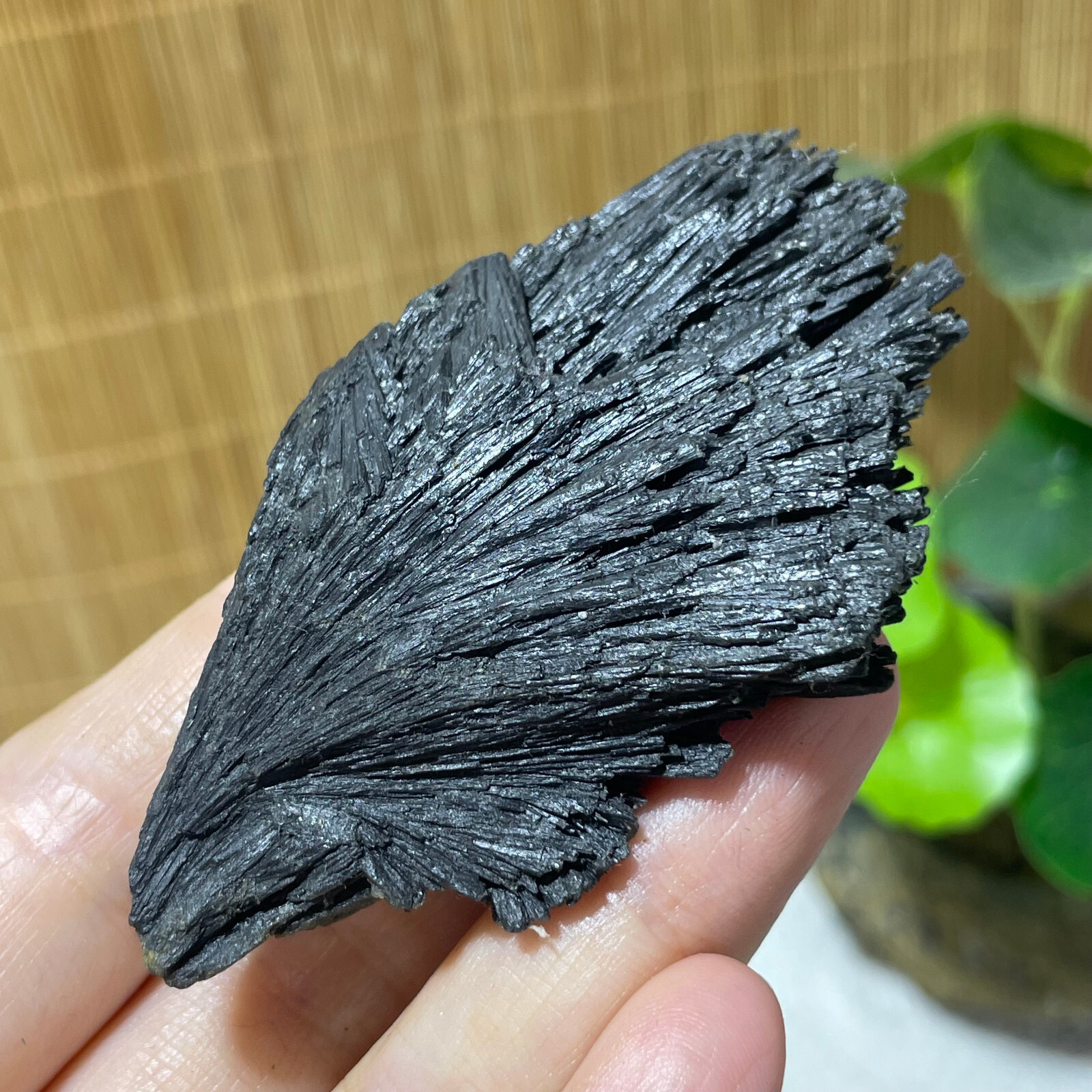 64g Natural Irregular natural black crystal cluster mineral specimen（dian qishi）