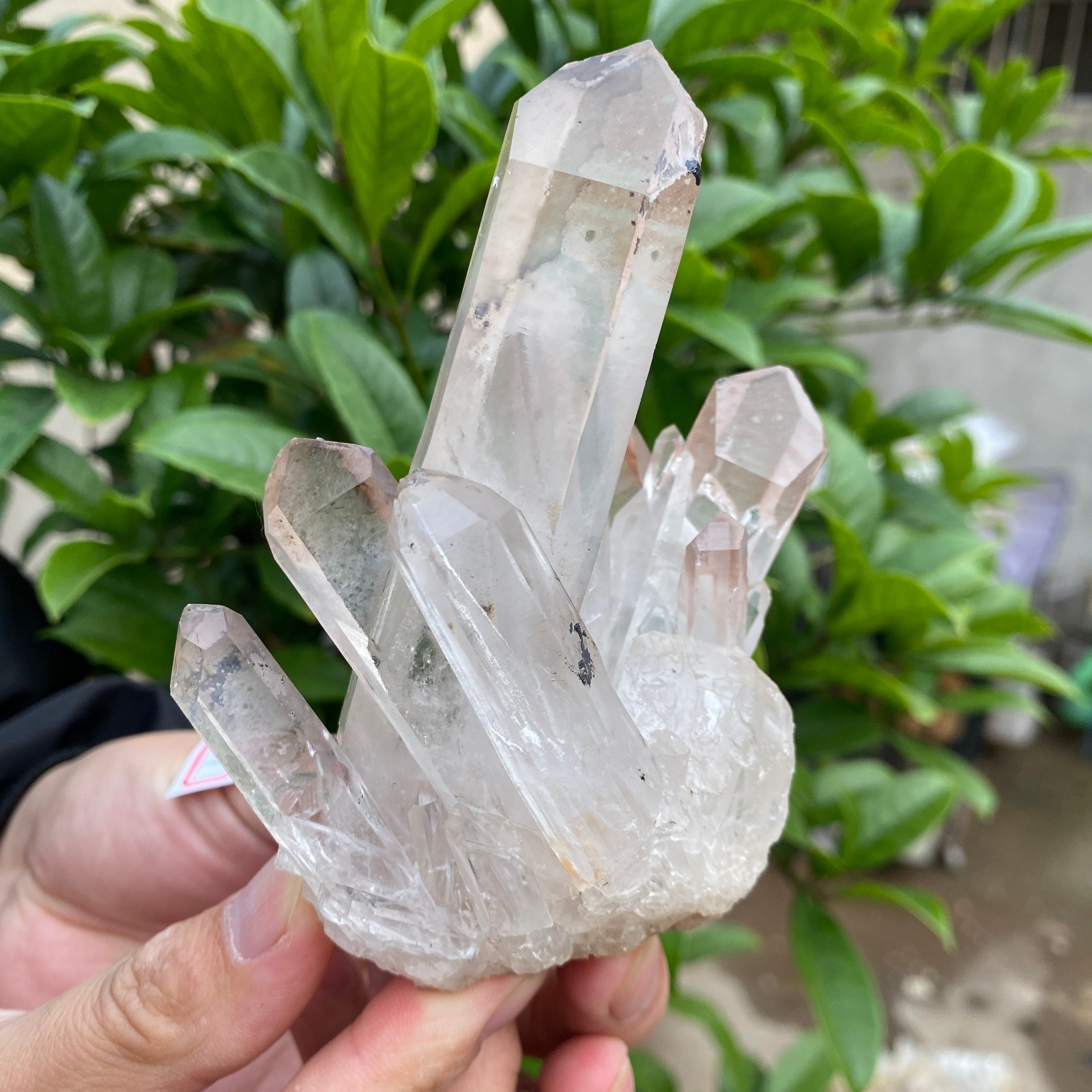 330g Natural Clear White Quartz Crystal Cluster Rough Healing Specimen