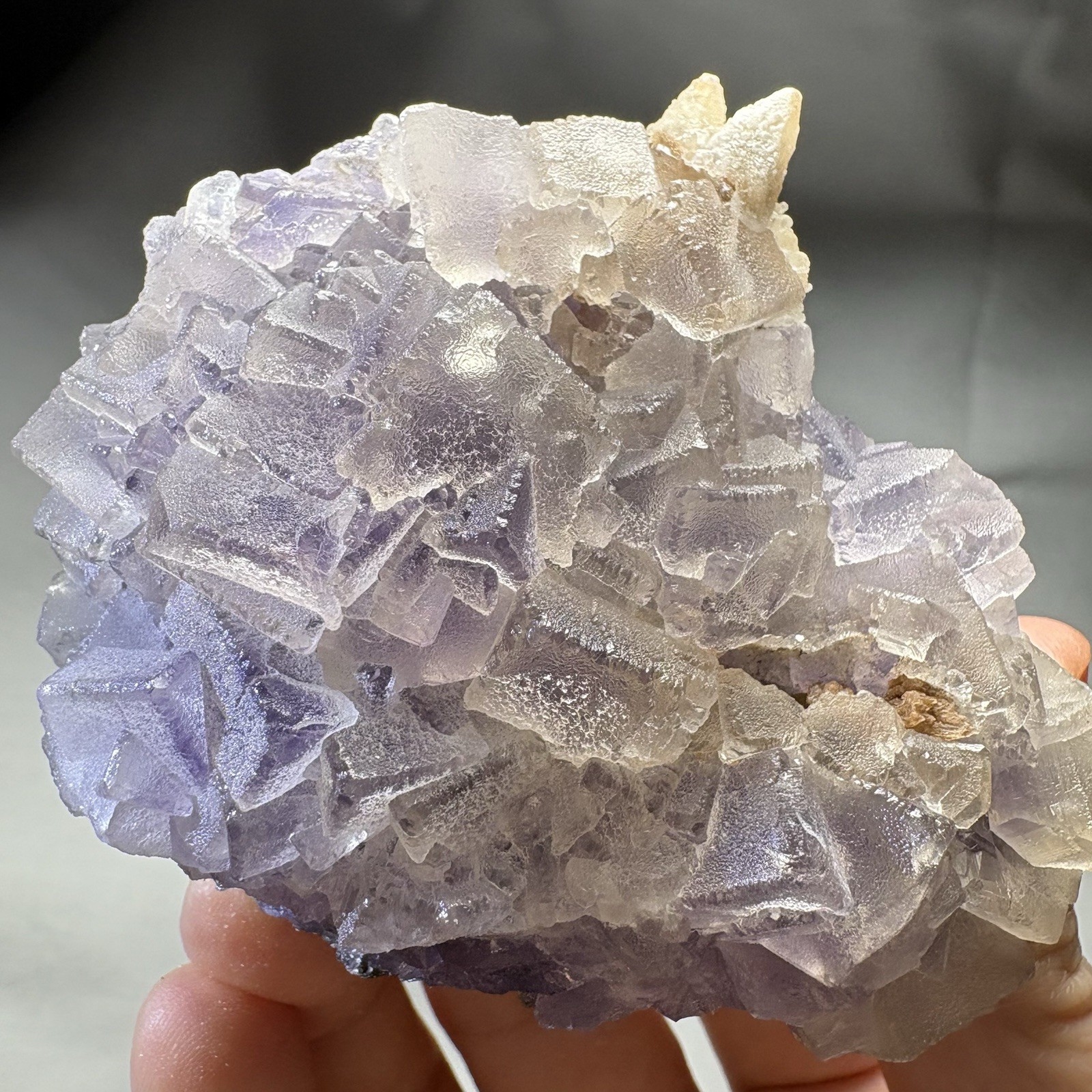 Natural Phantom Fluorite w/ Calcite Cluster Crystal Raw Mineral Dual Color UV