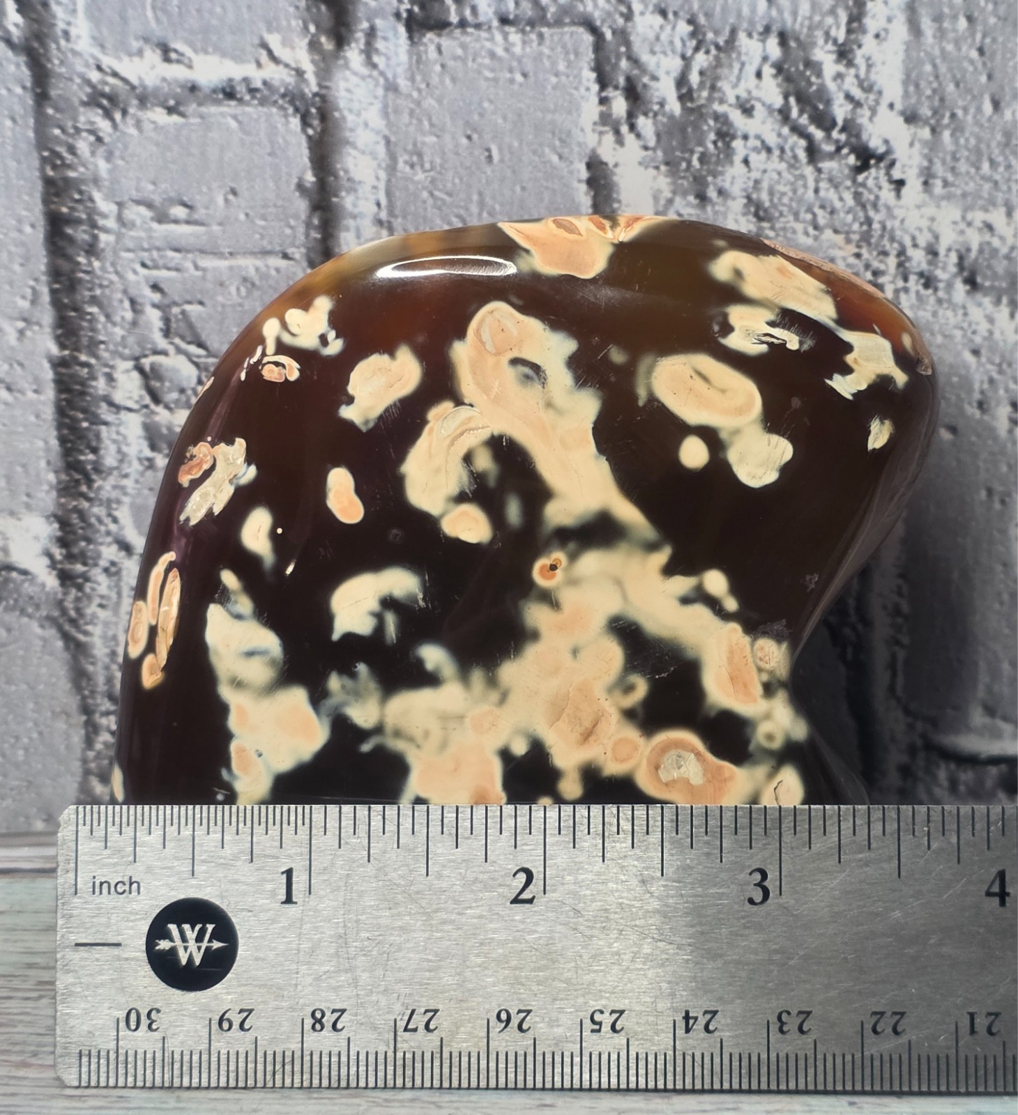 Large Rare Natural Amber Color Orca Agate Polished Freeform Translucent Color