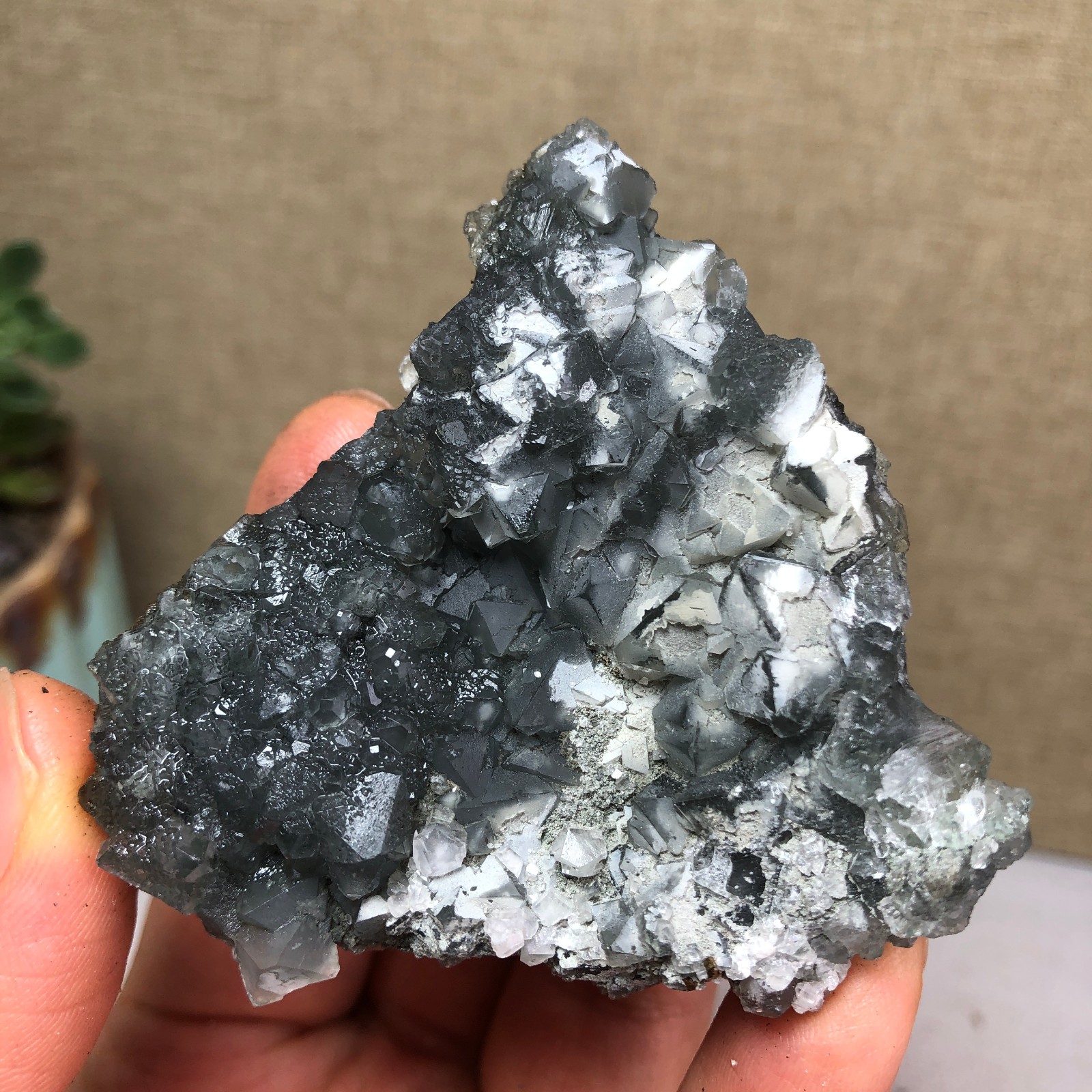 78g NATURAL Green Cubic FLUORITE Crystal Cluster Mineral Specimen A4734