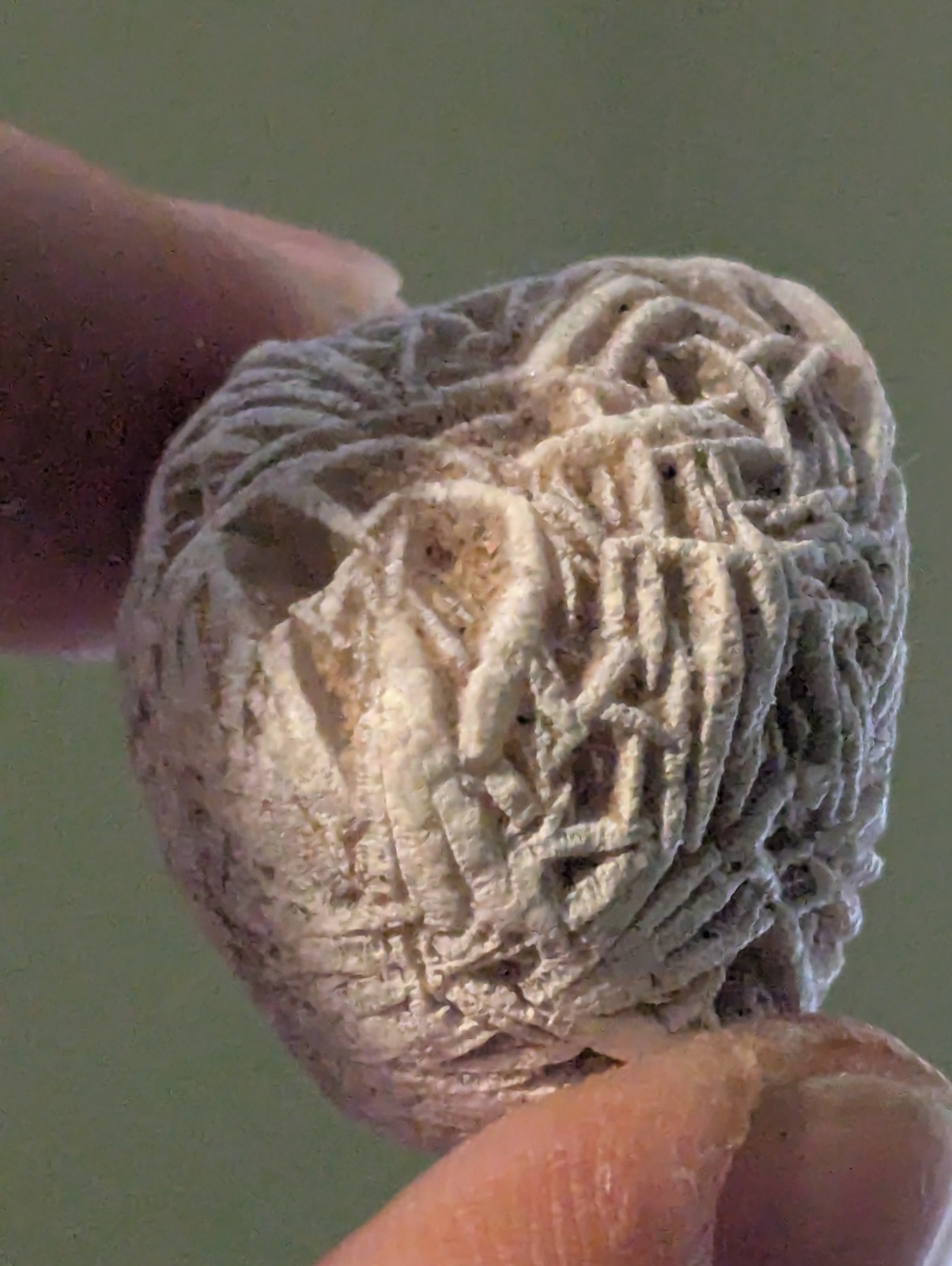 white Desert Rose Gypsum