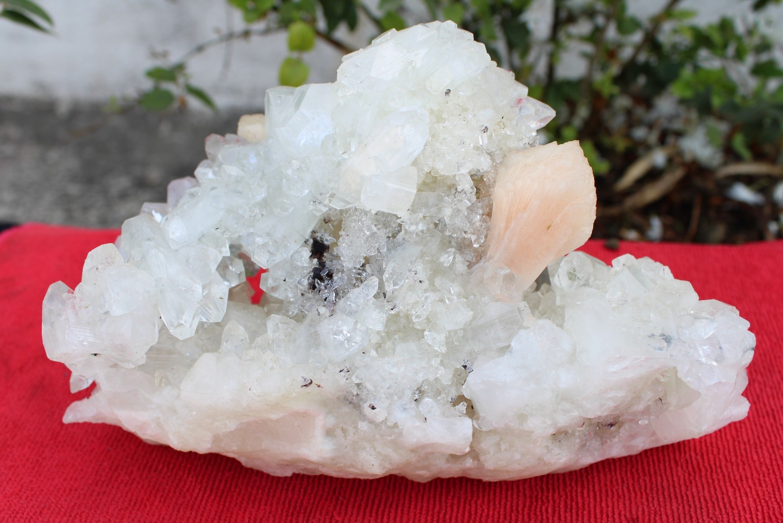 Apophyllite Crystals w/ Stilbite Formation Minerals Specimen