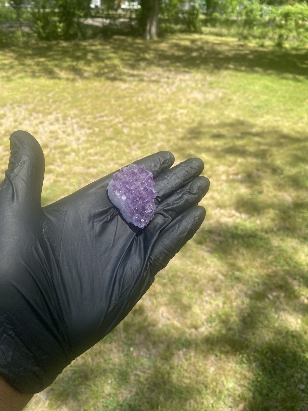 Amethyst Cluster Geode Crystal Gem from Brazil