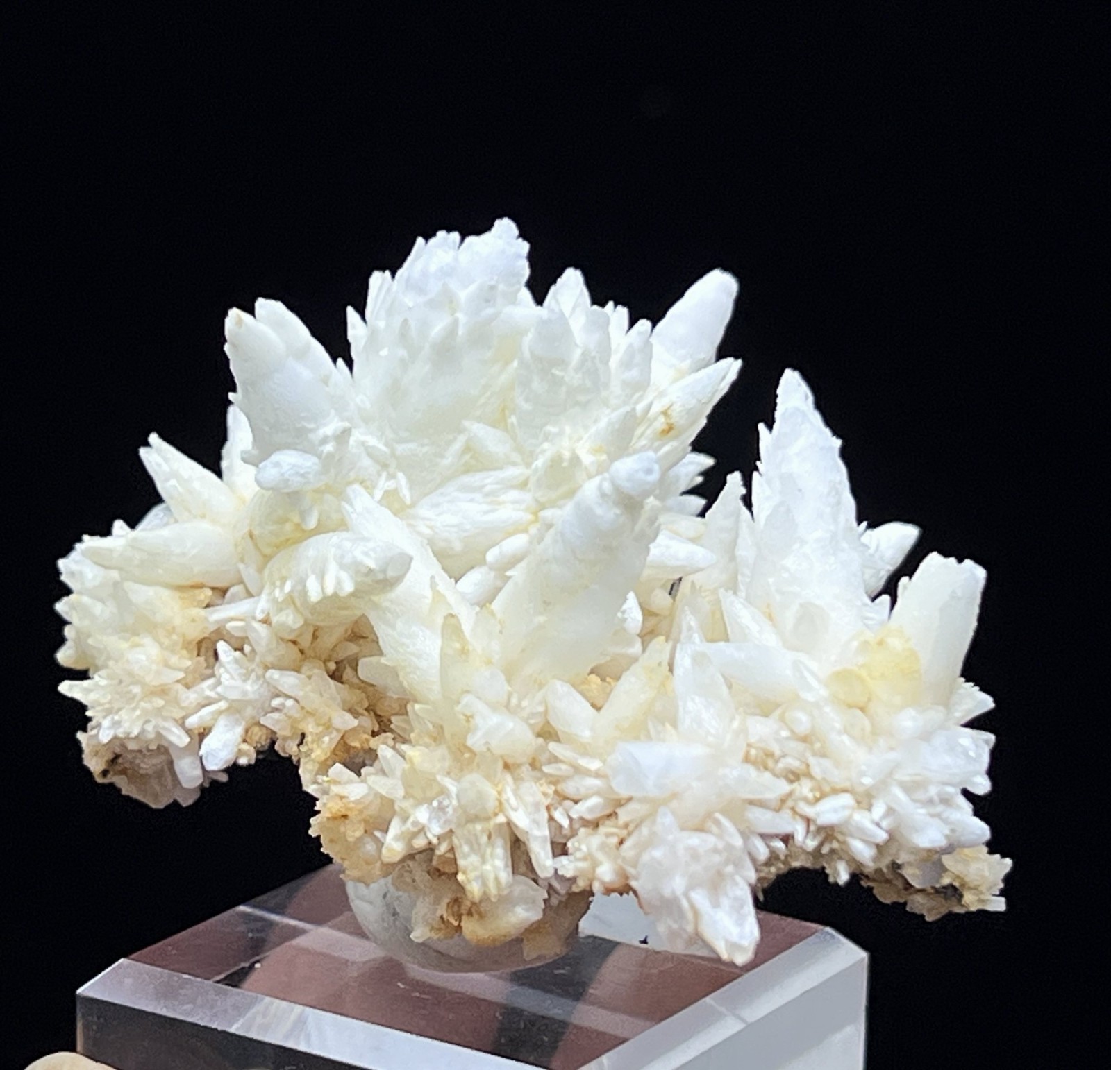 51mm Elegant Aragonite cluster, 360 degree showy, Natural Mineral Specimen