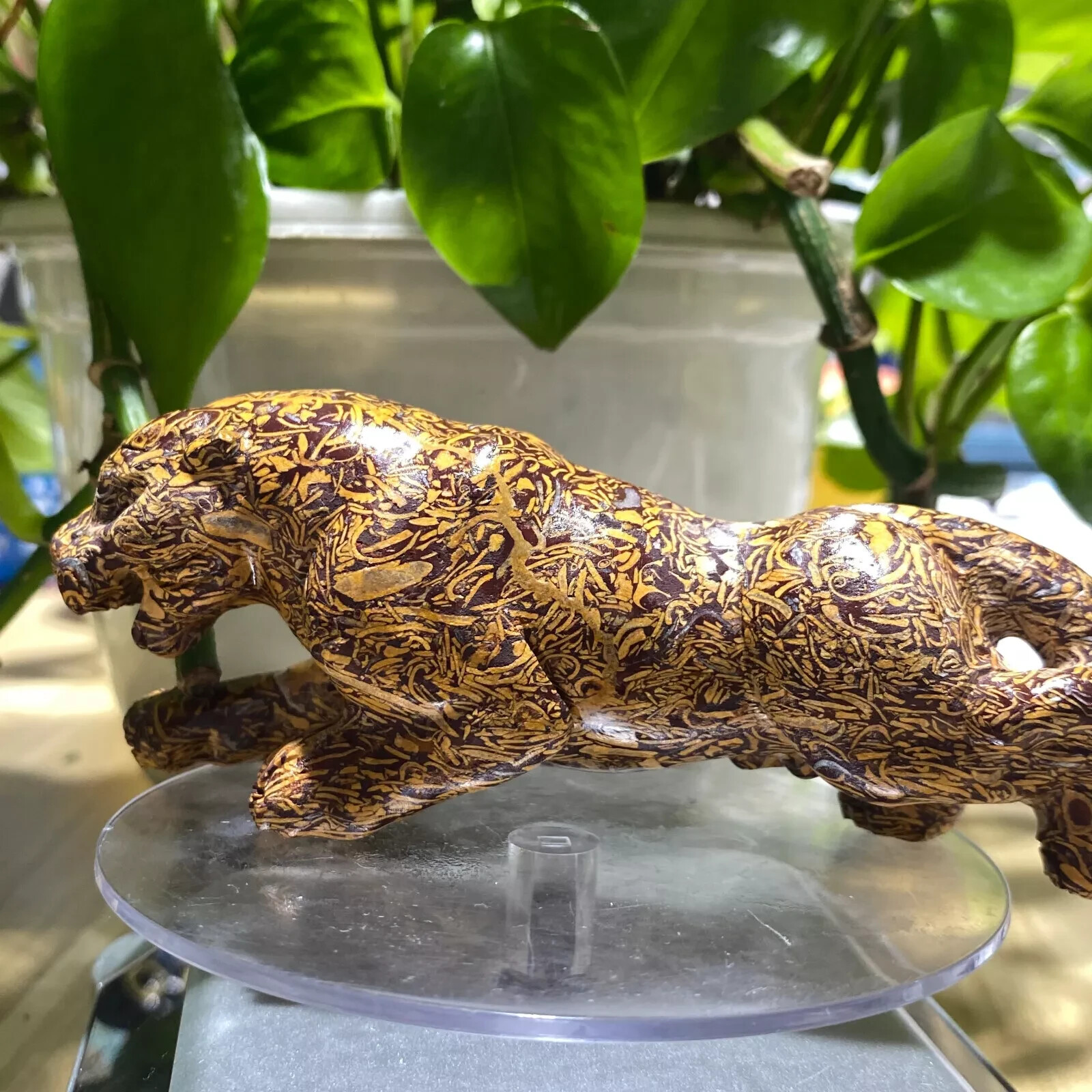 1pc Natural calligraphy jasper Quartz Carved Crystal Leopard Skull Reiki Healing