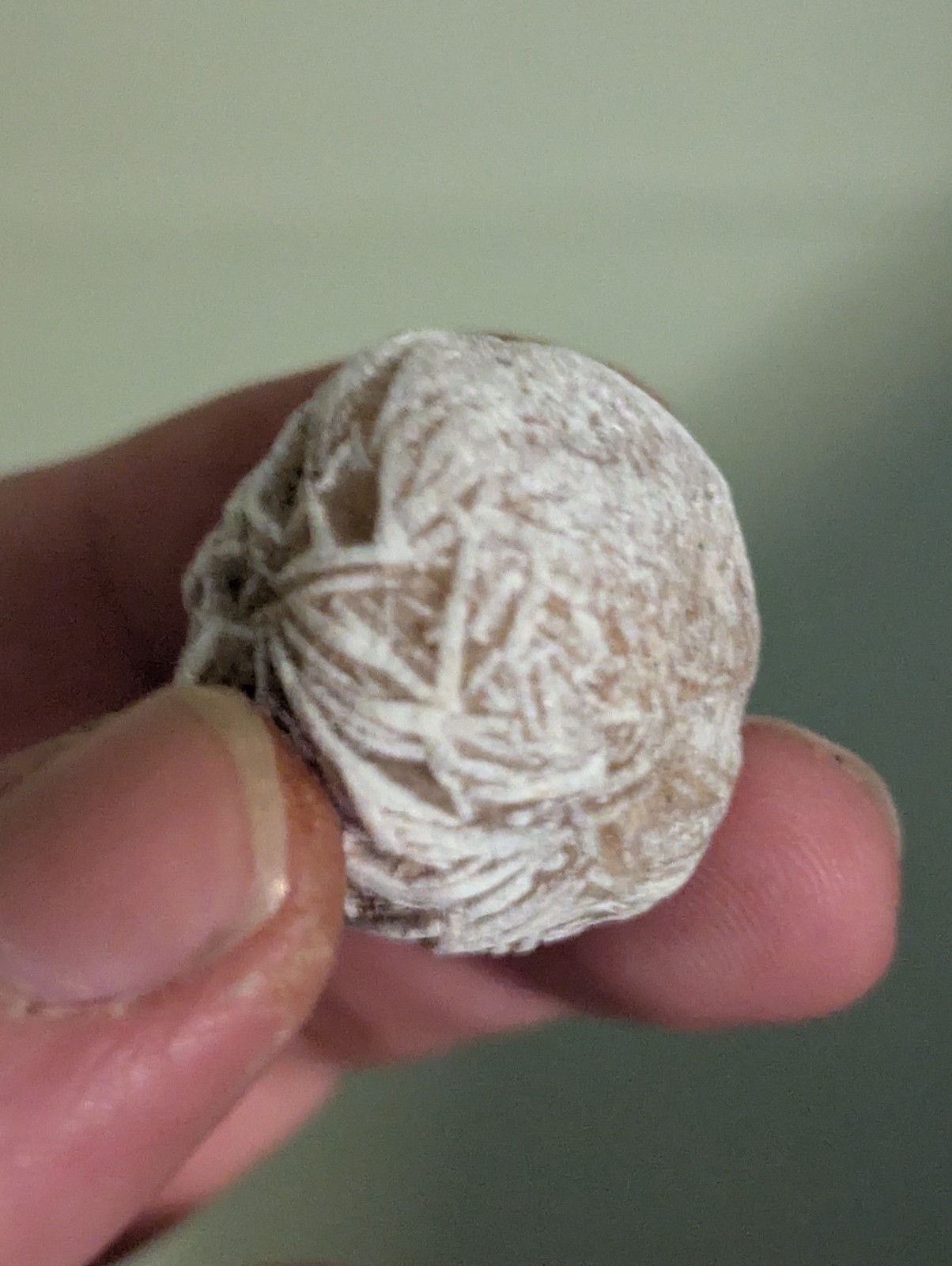 white Desert Rose Gypsum