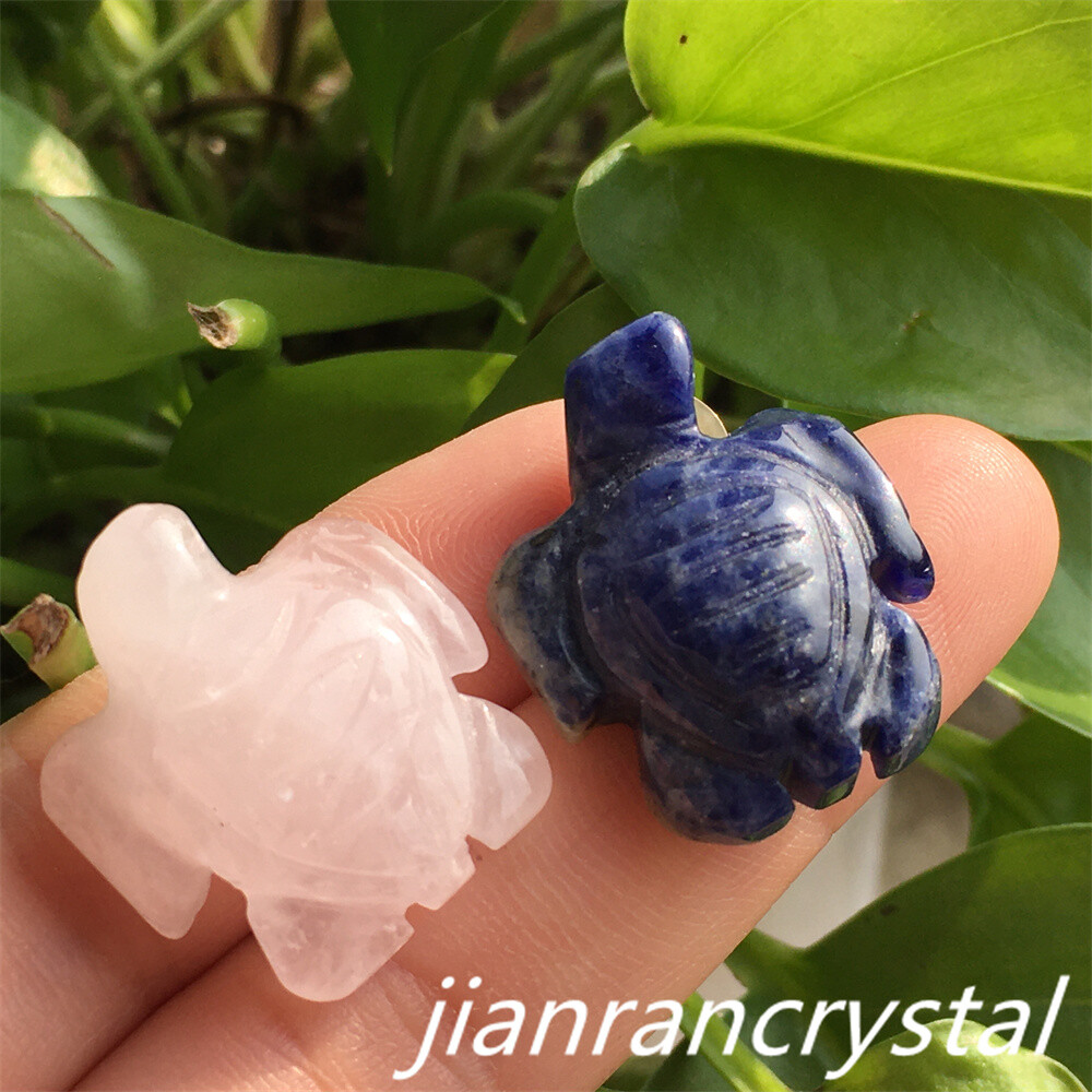 5pcs Mix Natural Quartz Tortoise Carved Mini Quartz Crystal Skull Reiki Healing