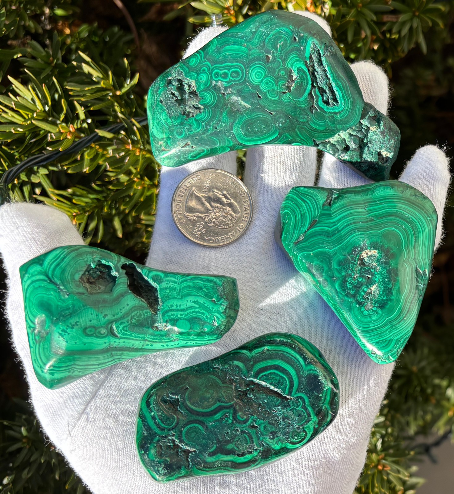 USA SALE 402g LOT MALACHITE POLISHED XL TUMBLE PALMSTONE SIZE PALM STONE STONES