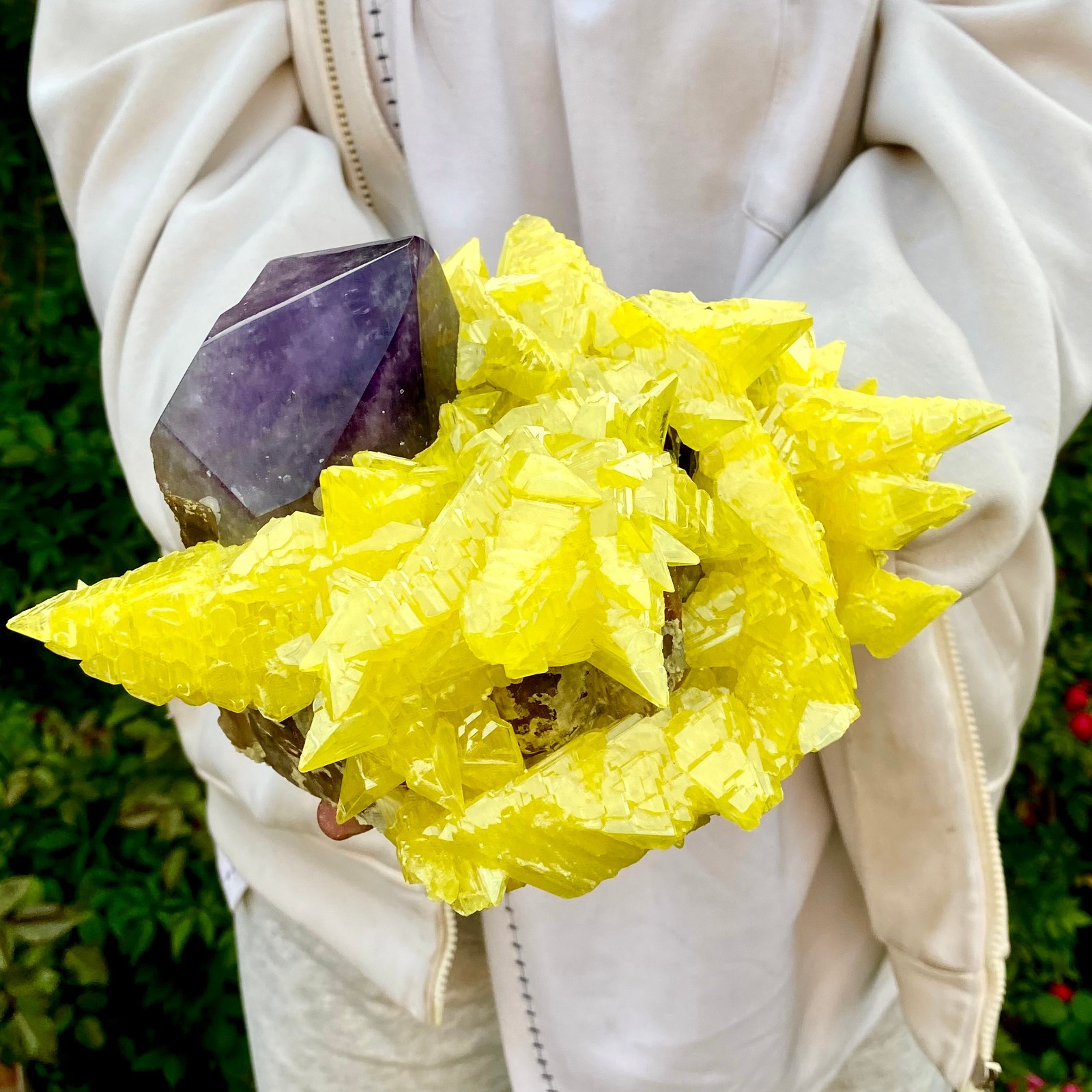 10LB Natural Amethyst & Sulphur Symbiotic Crystal Cluster Specimen