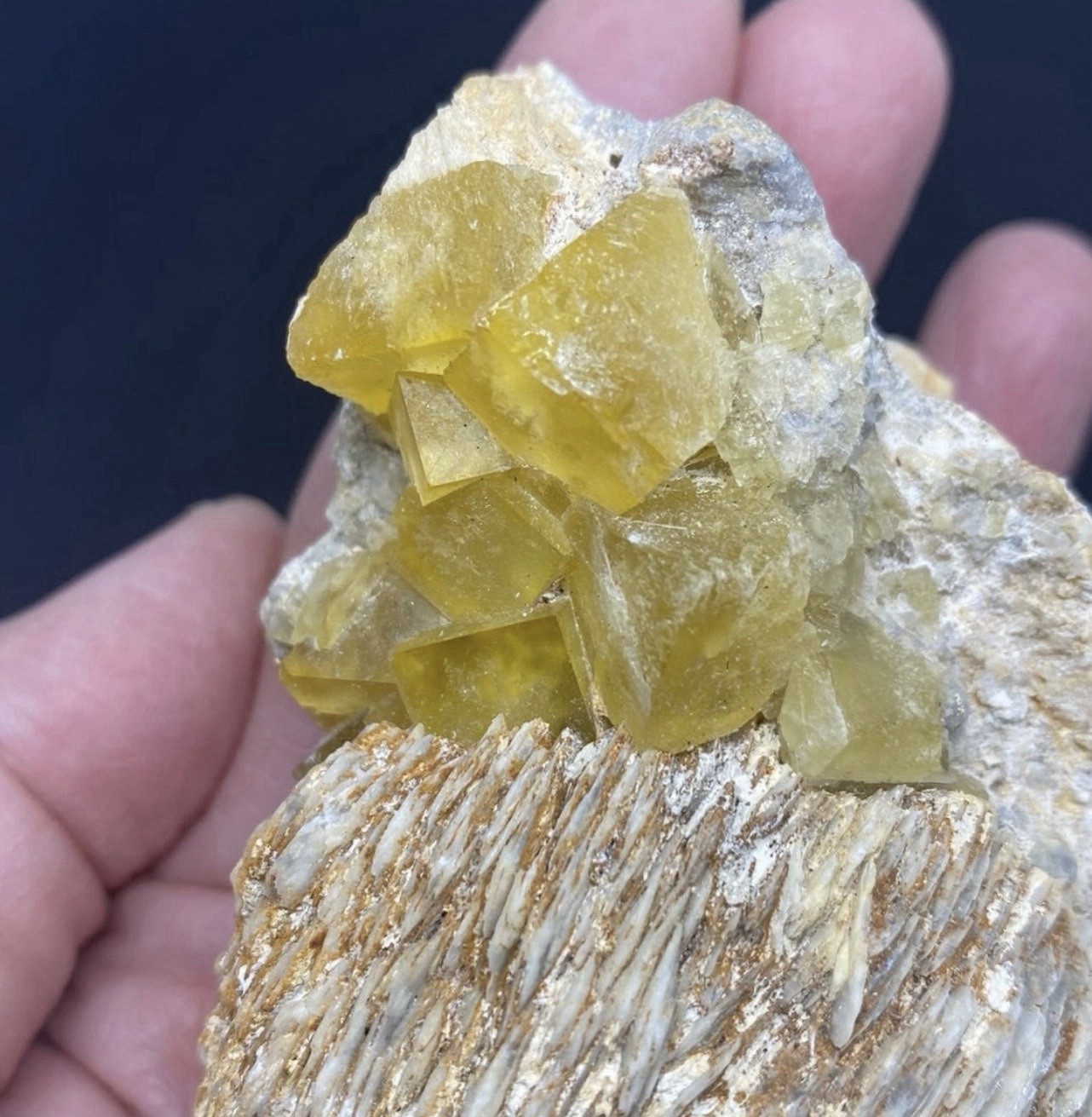 Yellow Fluorite Cubed Stone on Barite from Morocco 309g Over 3in -Fluorescent