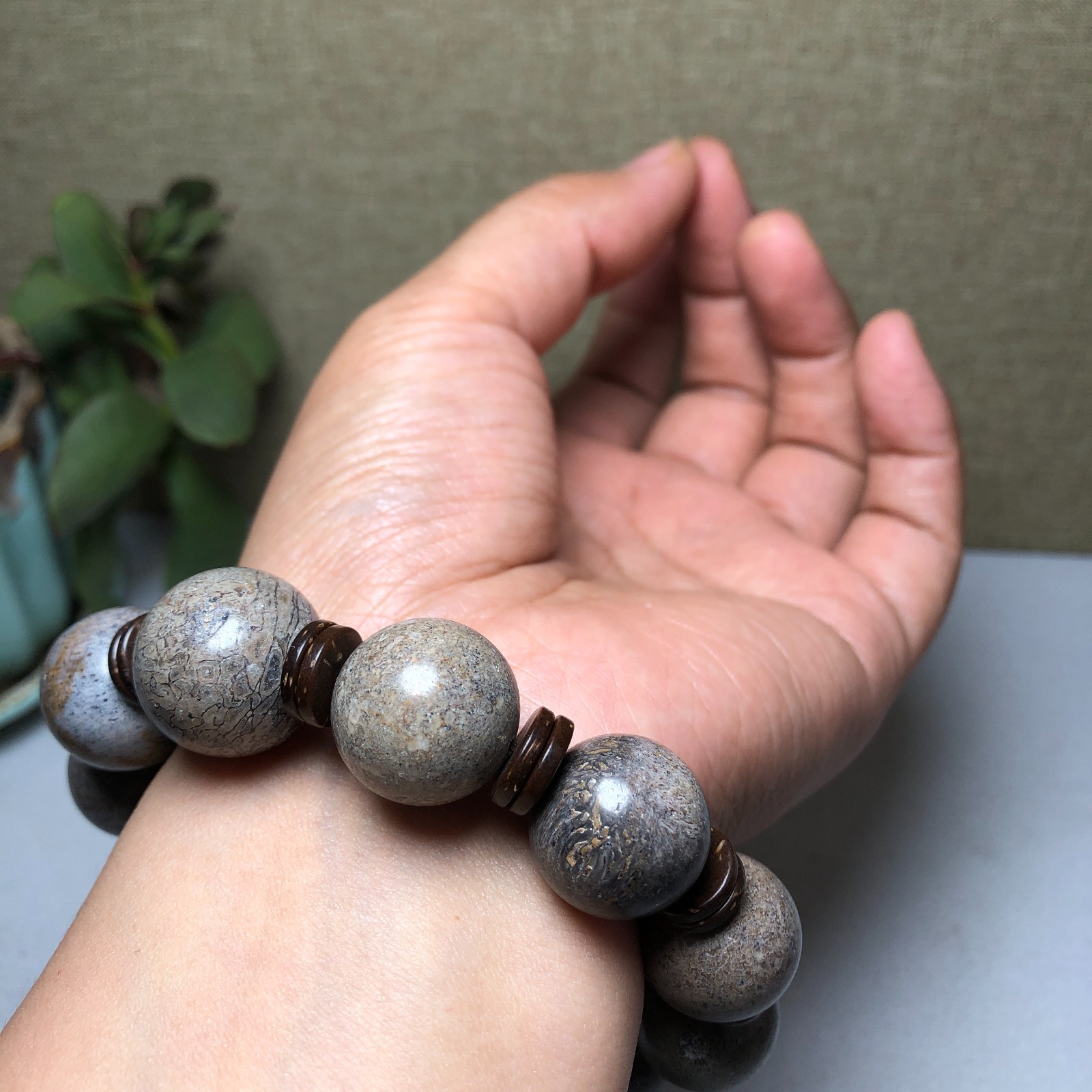 Top! Natural polished dinosaur bone bracelets specimen Madagascar 18mm A1005