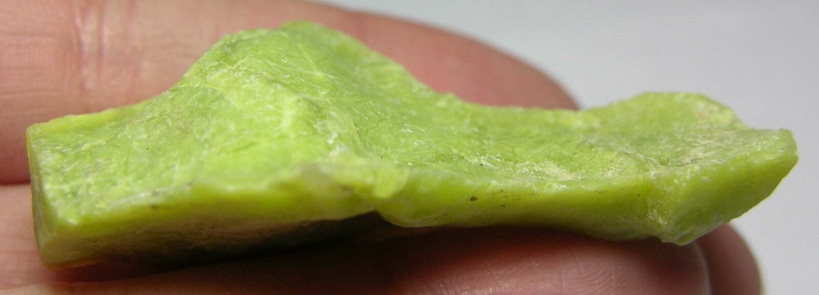 #11 Madagascar 67.70ct 100% Natural Raw Rough Green Opal Specimen 13.50g 51.00mm
