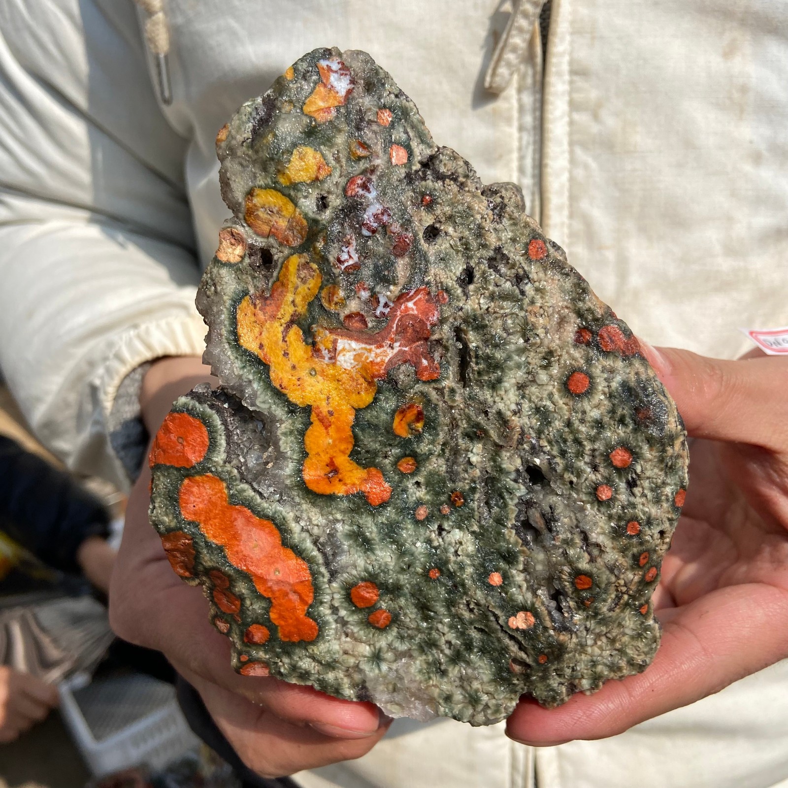 2.2lb Natural colourful ocean jasper raw stone crystal rough mineral specimen