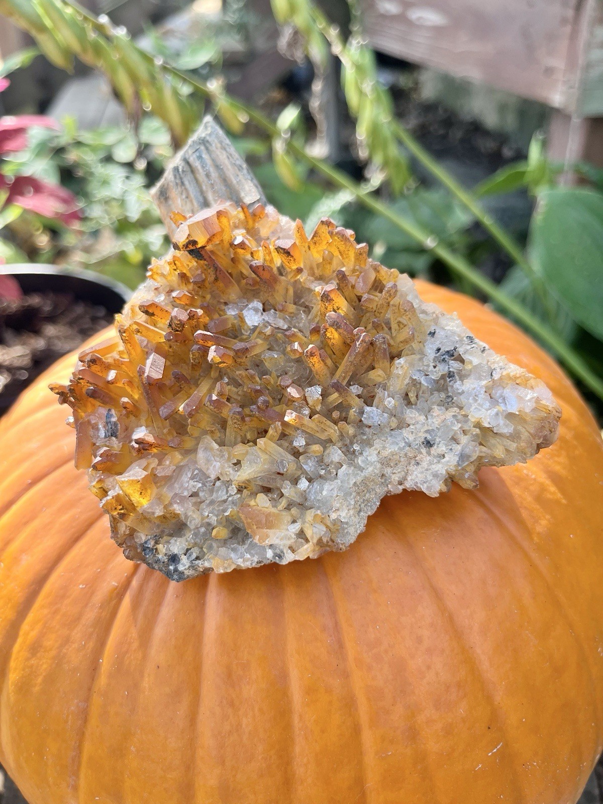 Golden Healer Quartz Crystal Cluster Raw