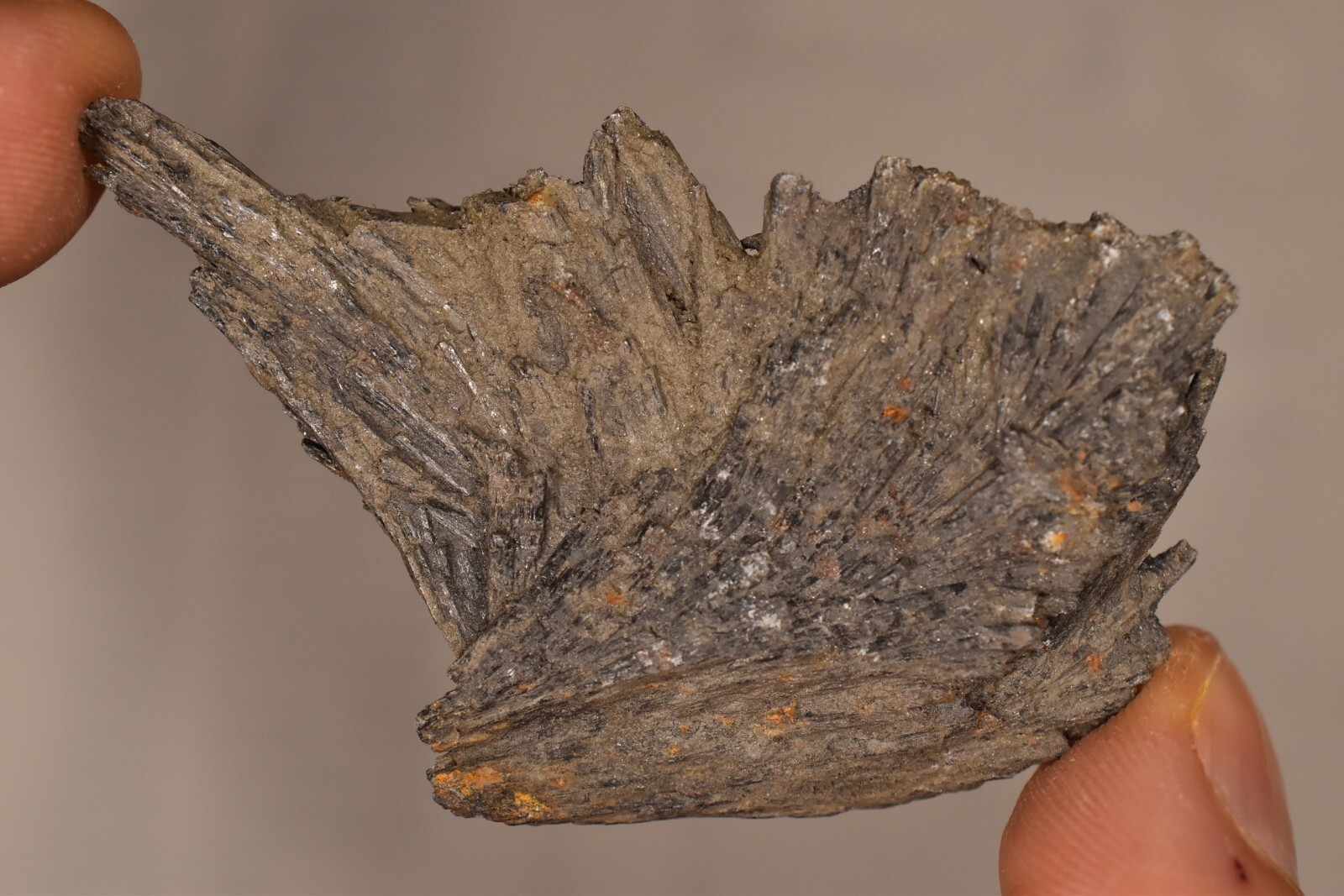 *BLACK KYANITE* CRYSTAL 6.8cm 24g Natural Specimen Healing Grounding Energizing