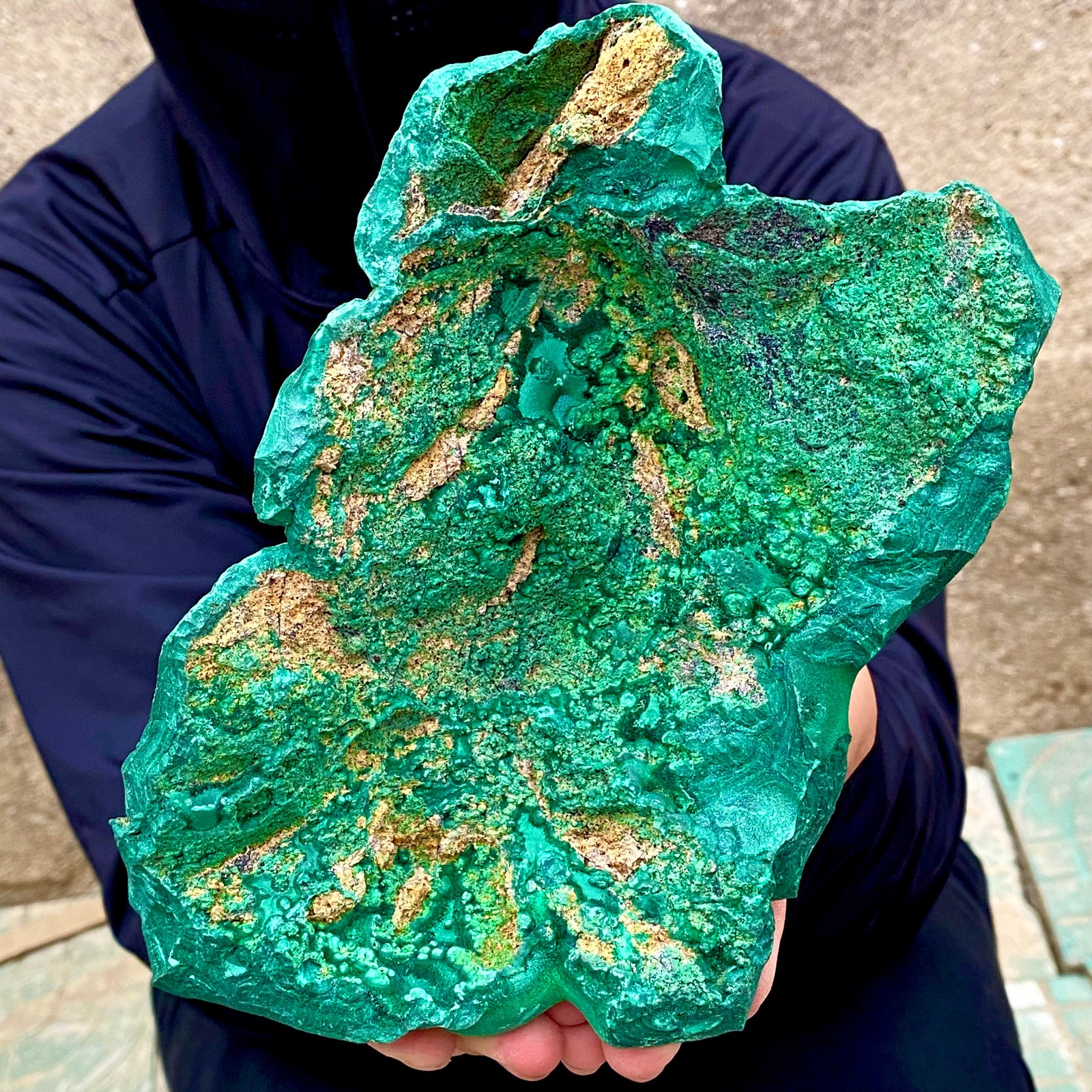 3.2LB Natural tortoise Malachite transparent cluster coarse mineral sample