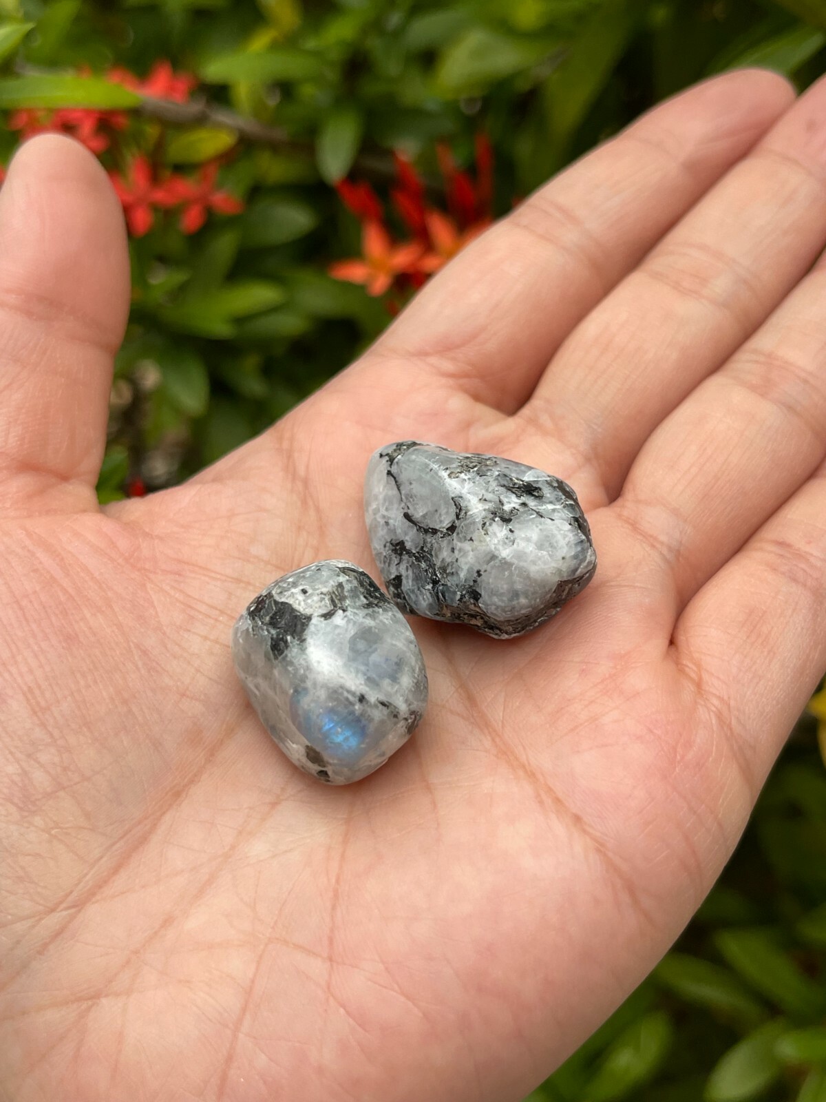 Rainbow Moonstone Tumbled Stone, 0.75-1″ Tumbled Rainbow Moonstone, Bulk Lots
