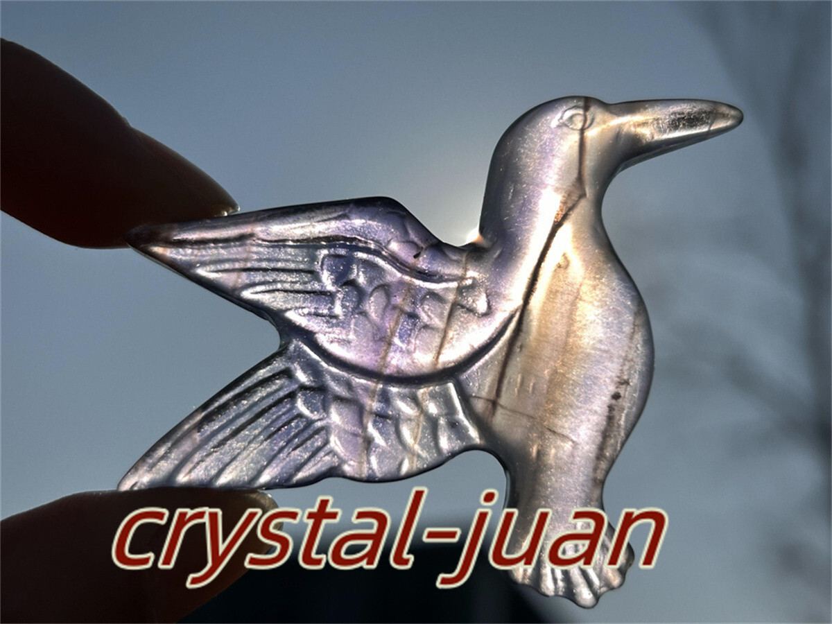 2″+ Natural Fluorite humming bird skull Carved Quartz Crystal skull Reiki heal