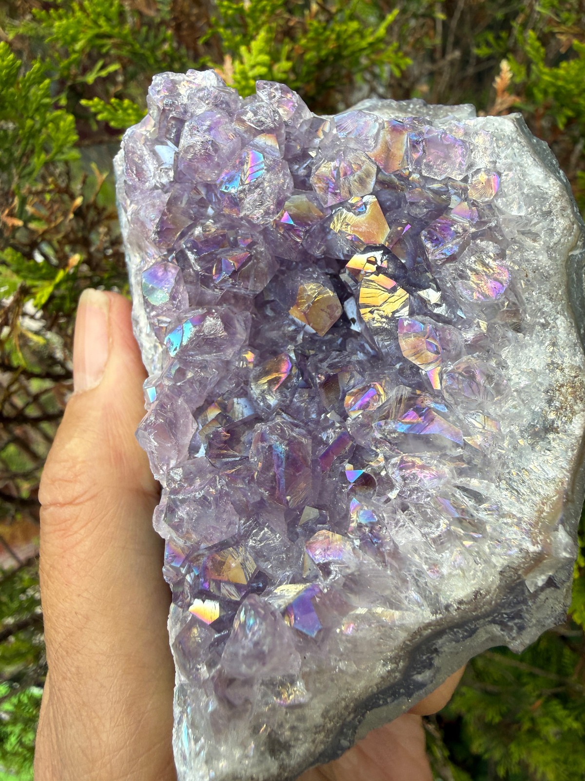 Amethyst Titanium Aura Crystal cluster rough raw Healing confidence Flashes