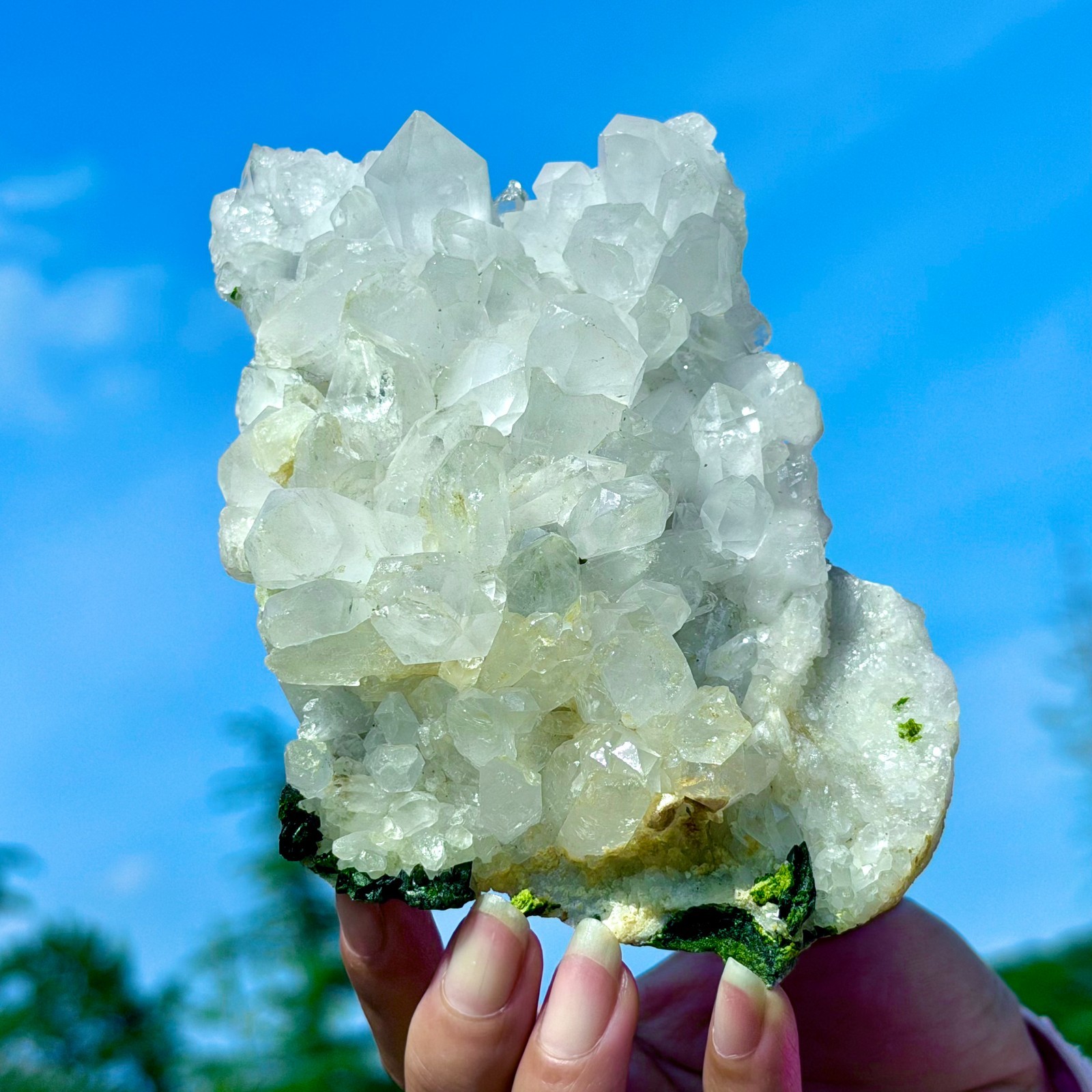 449G Rare!! Natural Clear Crystal with Epidote Garden Quartz Cluster Specimen