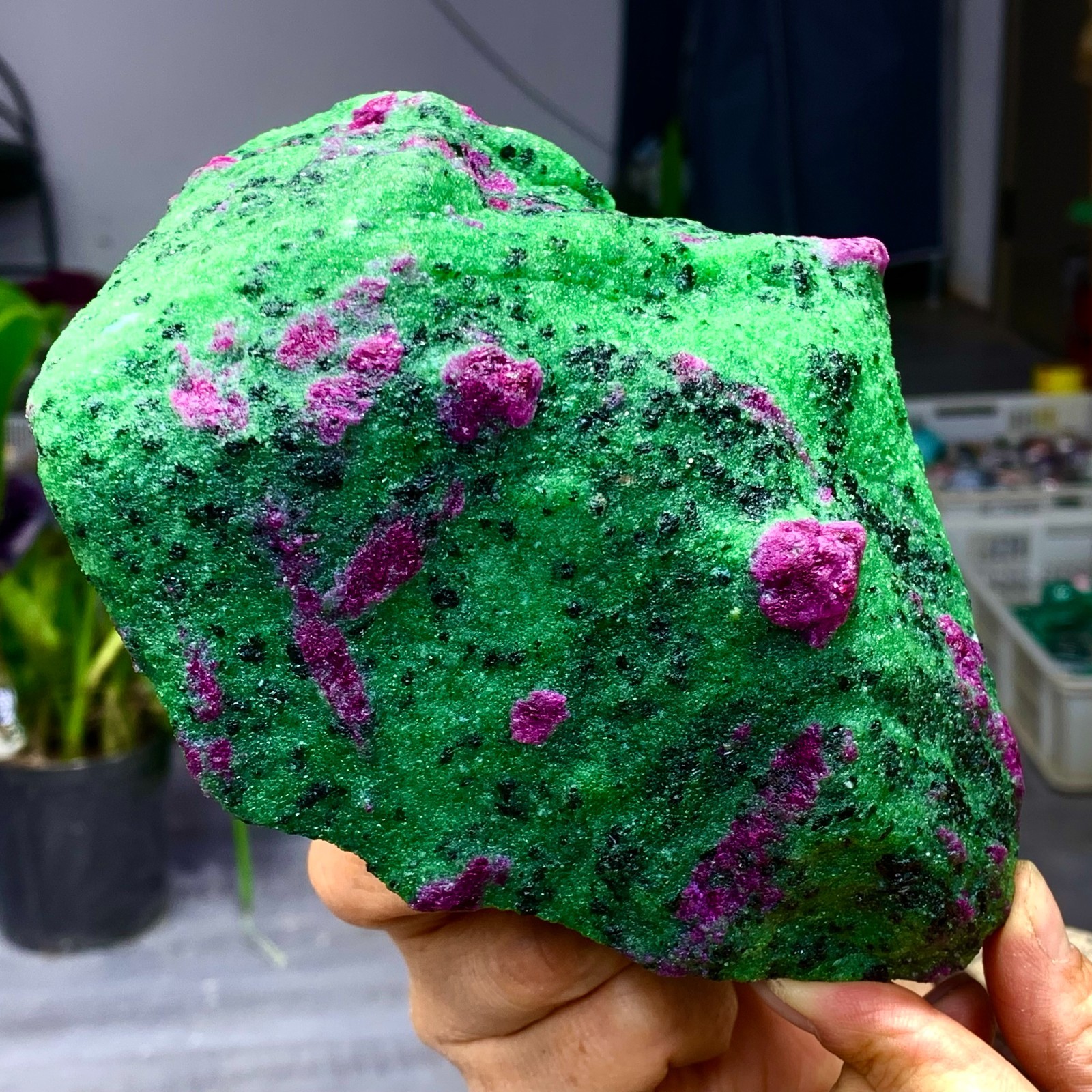 3.5LB Natural green Ruby zoisite (anylite) crystal Chakra Healing Energy A761