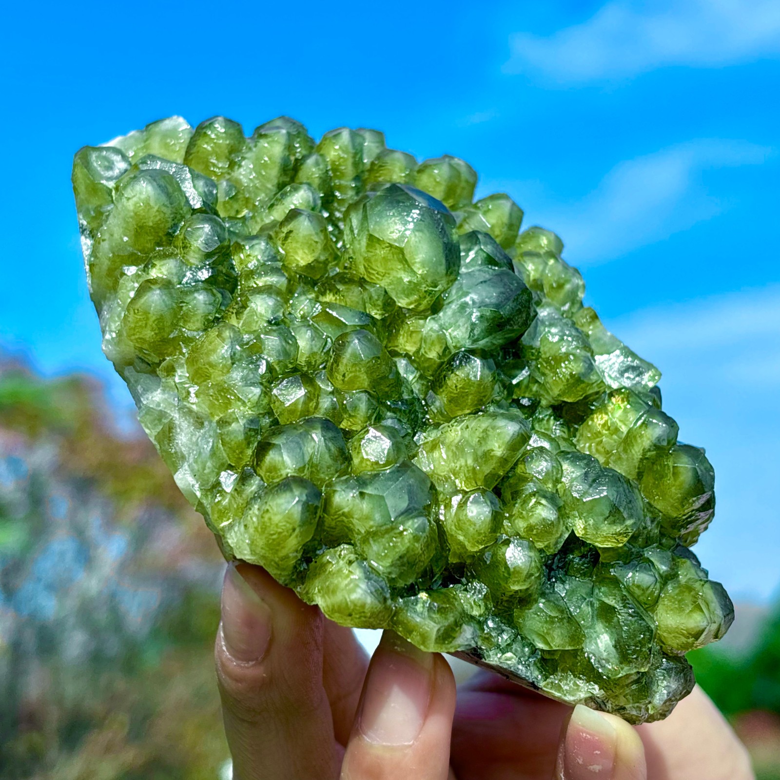 405G Natural Spherical Prehnite Crystal Gem Mineral Specimen&Crystallization