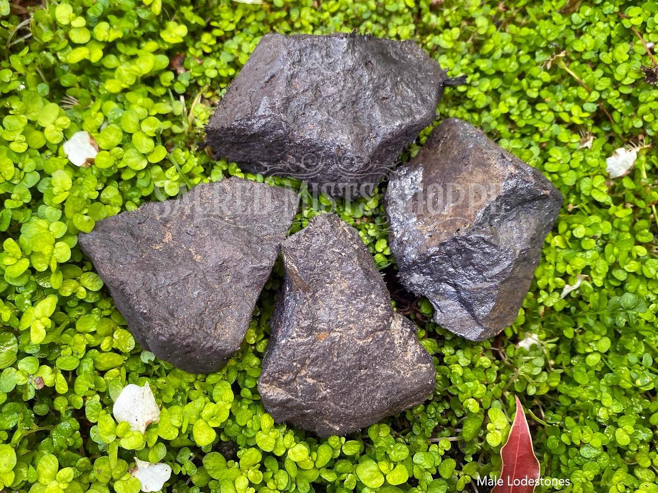 Lodestone Large Magnetite Choose Female, Male, Pair for Attraction Luck Balance
