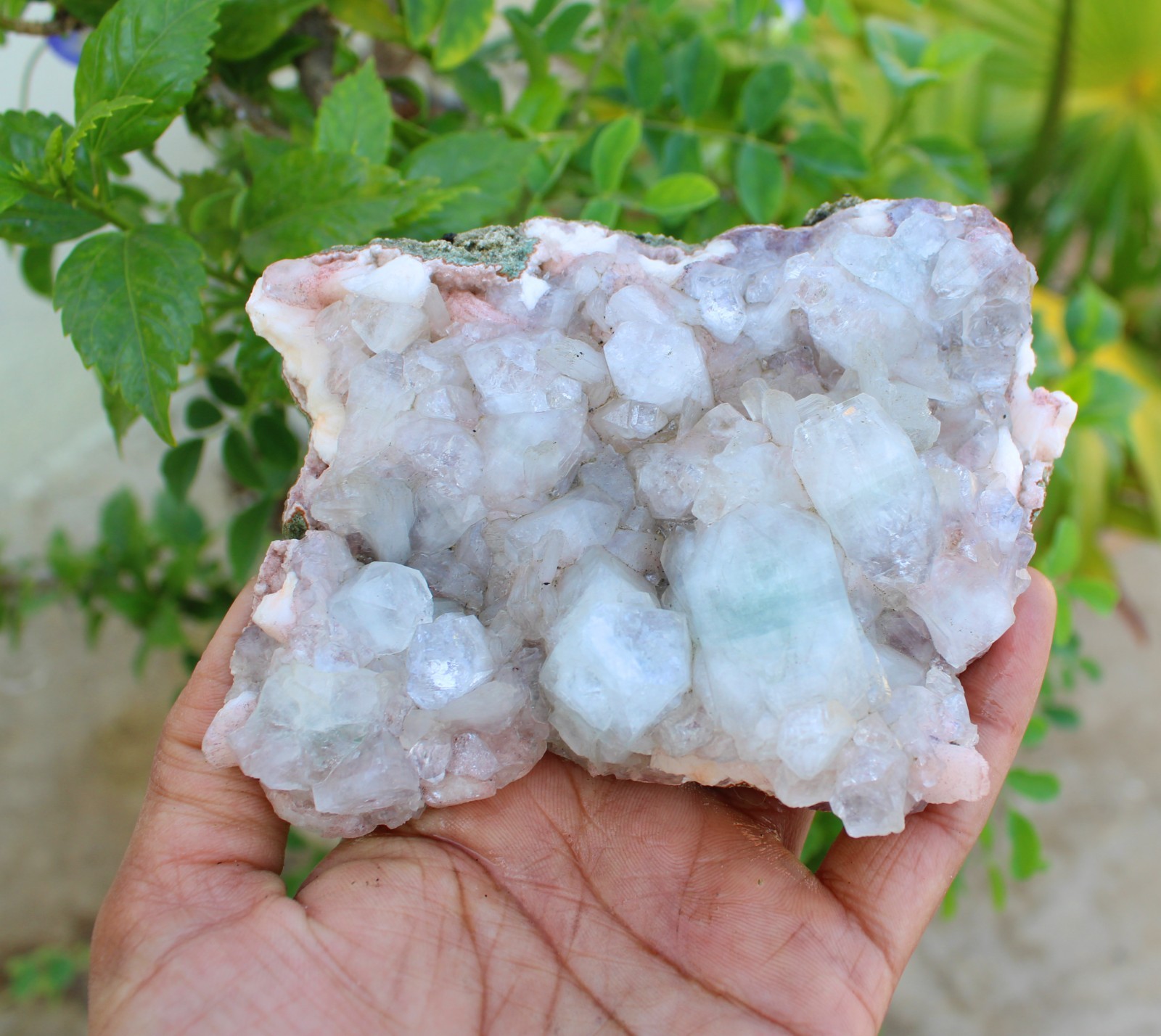 GREEN APOPHYLLITE CRYSTALS ON MATRIX MINERALS SPECIMEN #A43