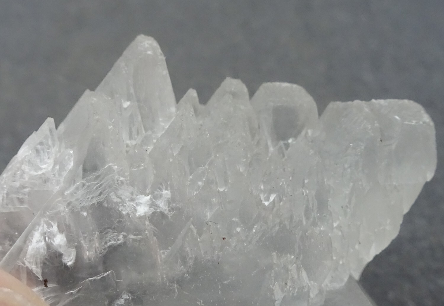 Gypsum “Fishtail Selenite” Crystal, Mexico- Mineral Specimen for Sale