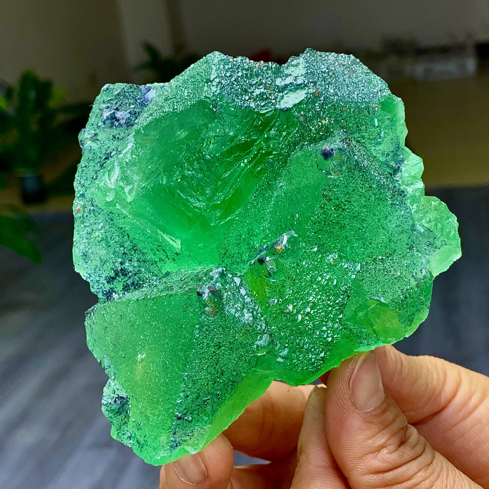 1.24LB Rare transparent green cubic Zhejiang fluorite mineral sample