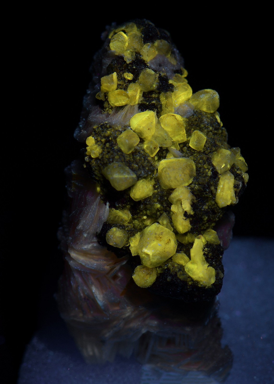 Wulfenite, Cerussite and Barite crystals, UV. Mibladen, Morocco. 6 cm.