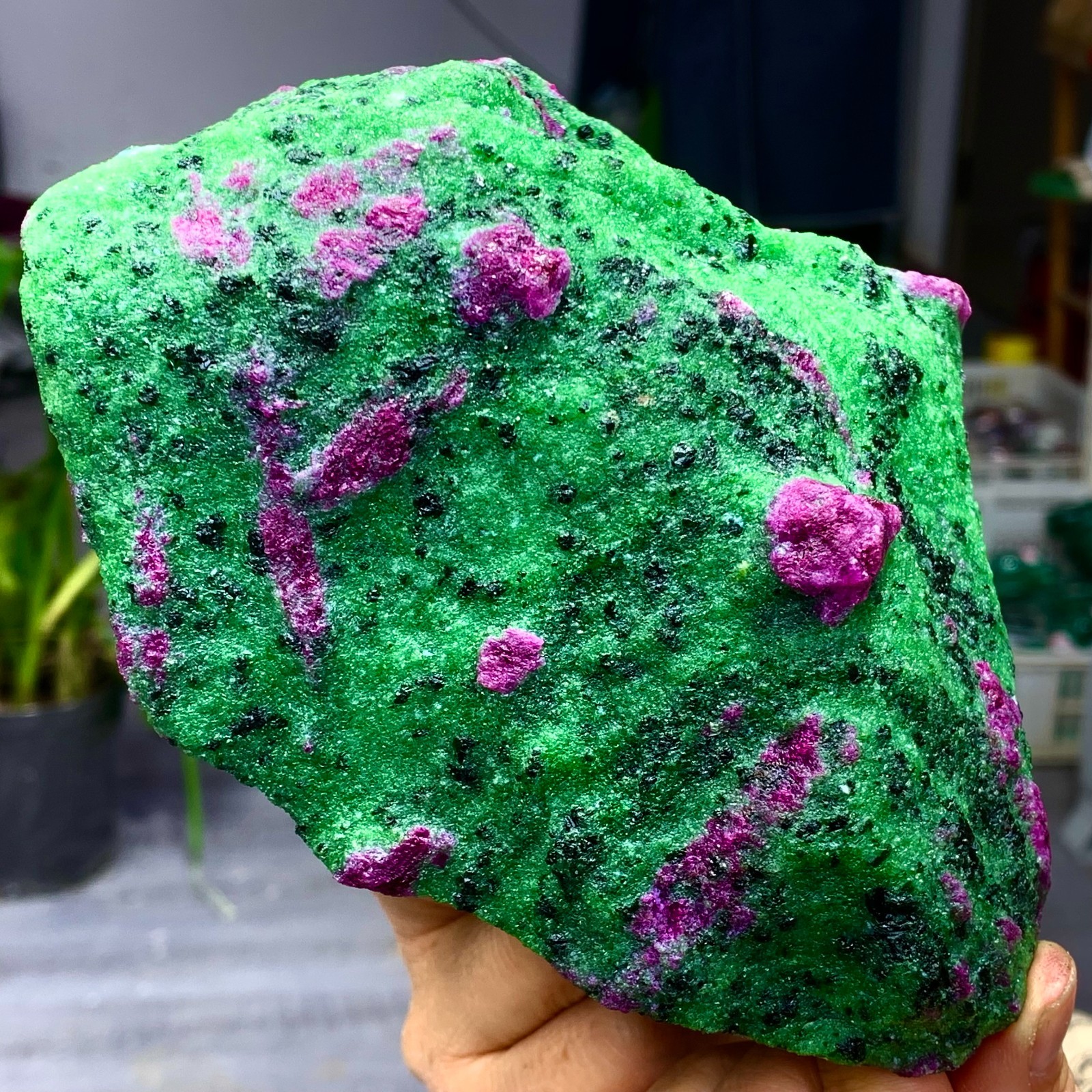 3.5LB Natural green Ruby zoisite (anylite) crystal Chakra Healing Energy A761