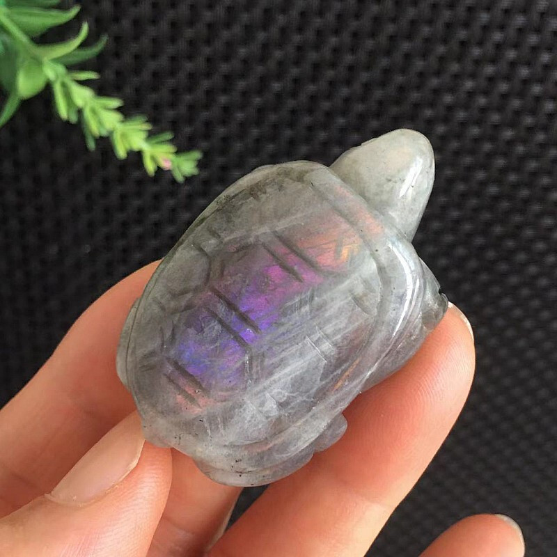 28g Purple Flash Labradorite Stone Tortoise Carving Small Size Quartz Crystal