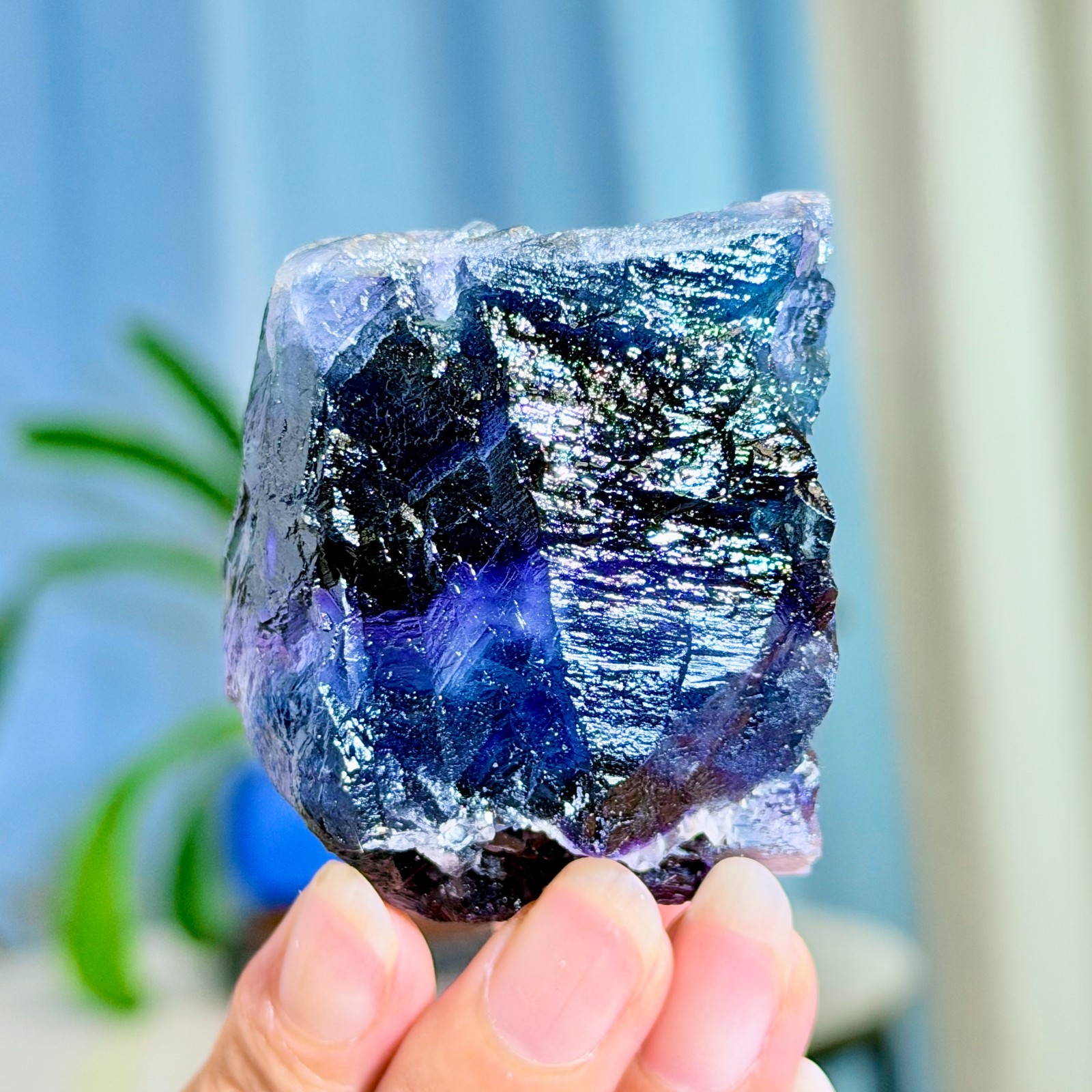205G Rare transparent purple cubic fluorite mineral crystal sample/China