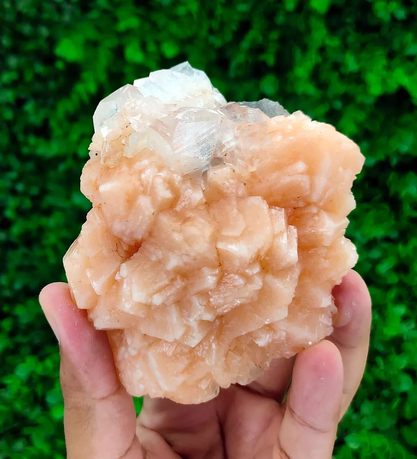 286g Natural Stilbite with Apophyllite Minerals