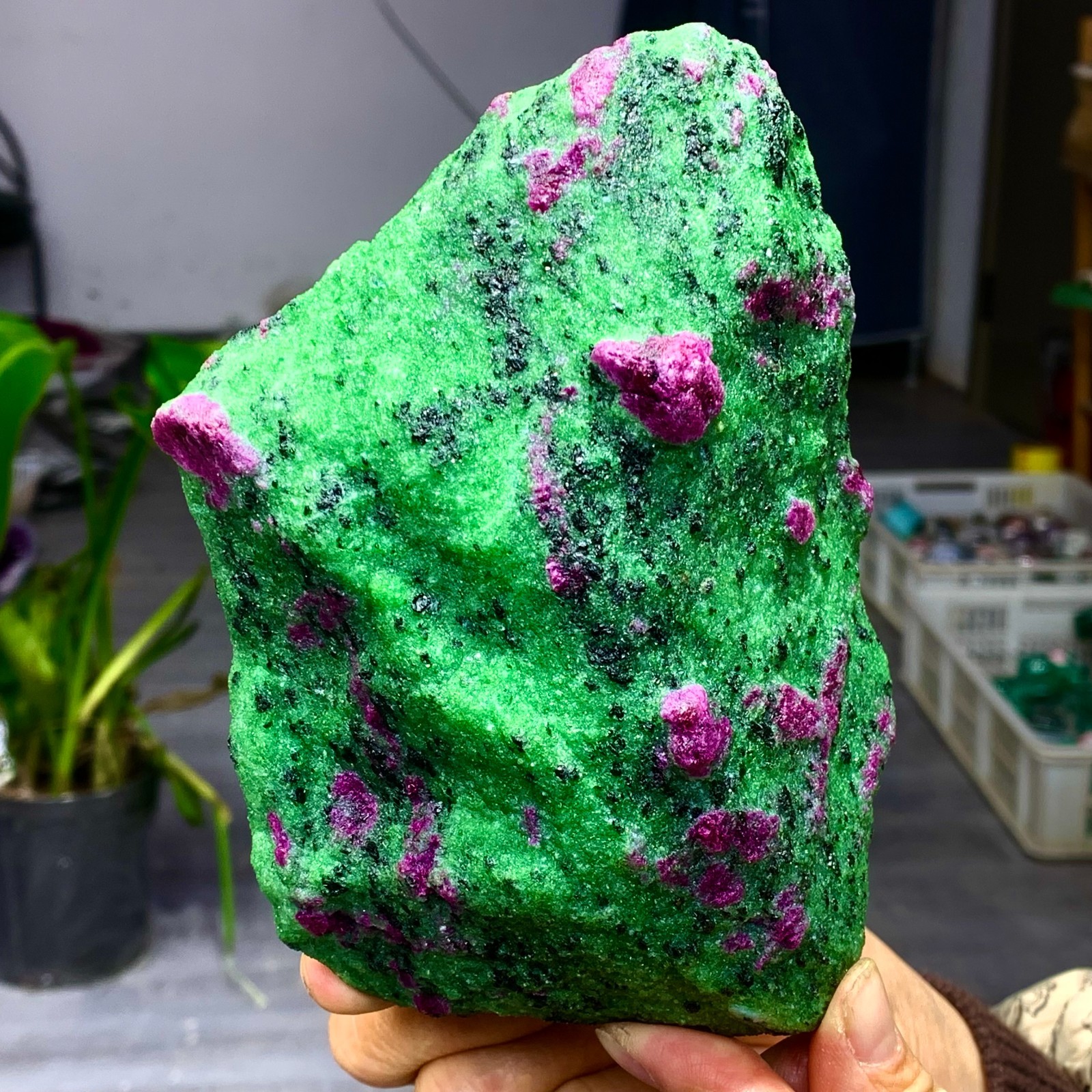 3.5LB Natural green Ruby zoisite (anylite) crystal Chakra Healing Energy A761