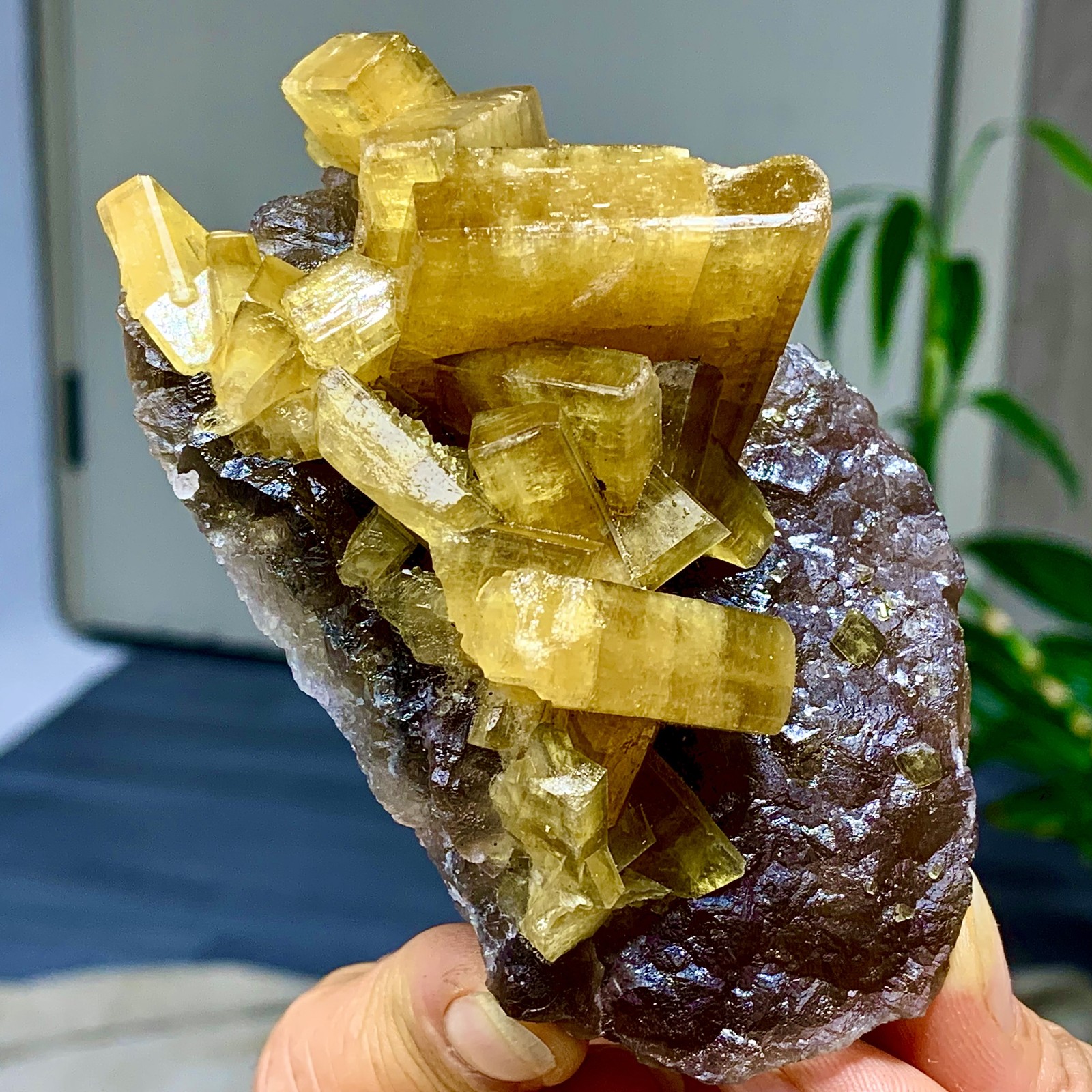 338G Shiny Golden Cuboid Barite Crystal Based on the Purple Spherical Fluorite