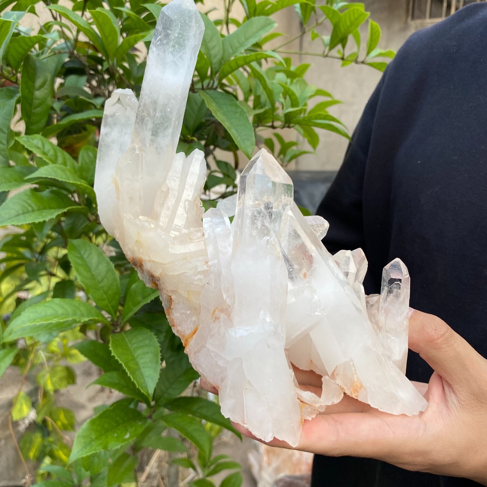 3.1lb Natural Clear White quart Crystal Cluster Raw Healing Specimen