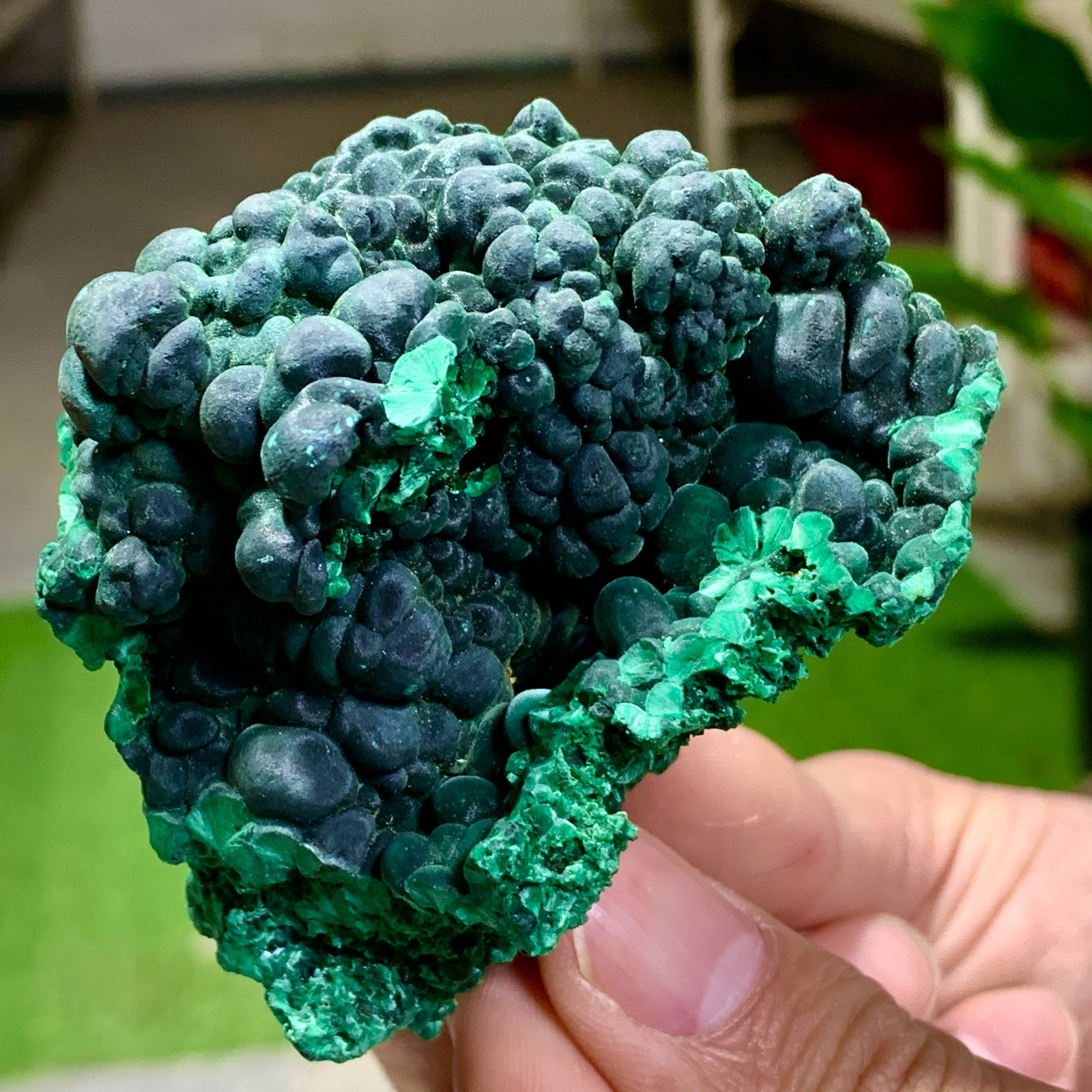 205G Natural glossy malachite cat eye transparent cluster rough mineral Sample