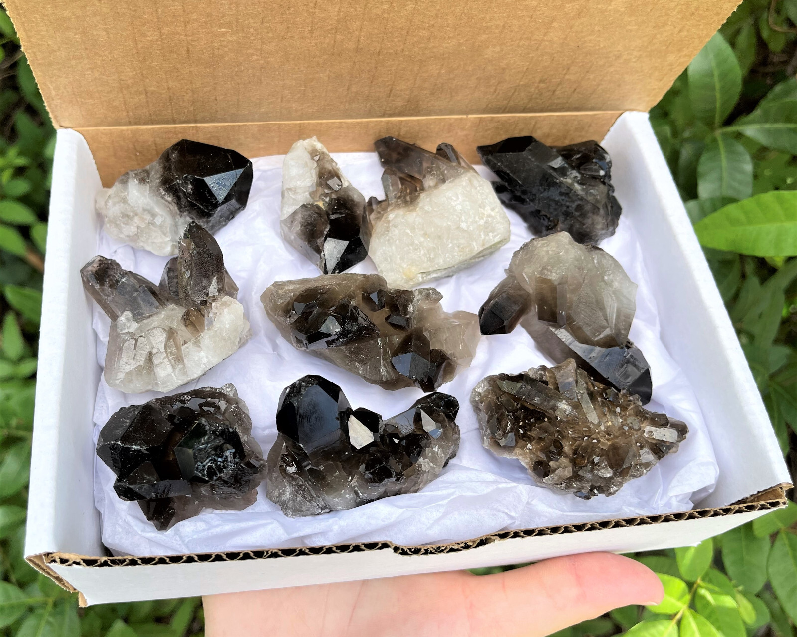 Smoky Quartz Crystal Clusters: 6-9 Piece Wholesale Bulk Box Lot (Smokey Quartz)