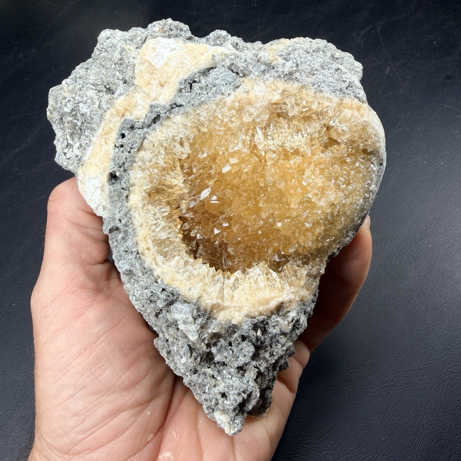 Golden Calcite Crystal Fossil Whelk Shell Rucks Pit Florida *Video*