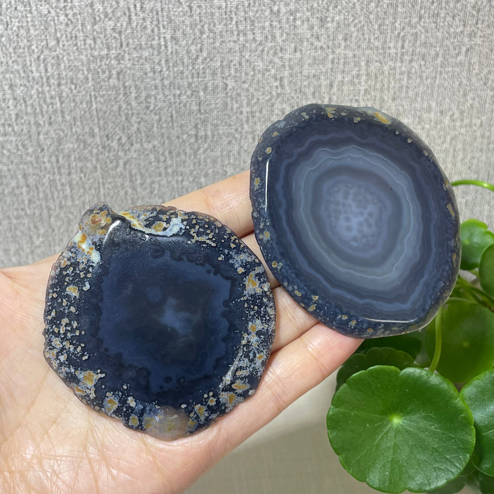 2pcs Brazilian Agate Geode Slab/Slice- Natural Druzy quartz crystals 87g a7712