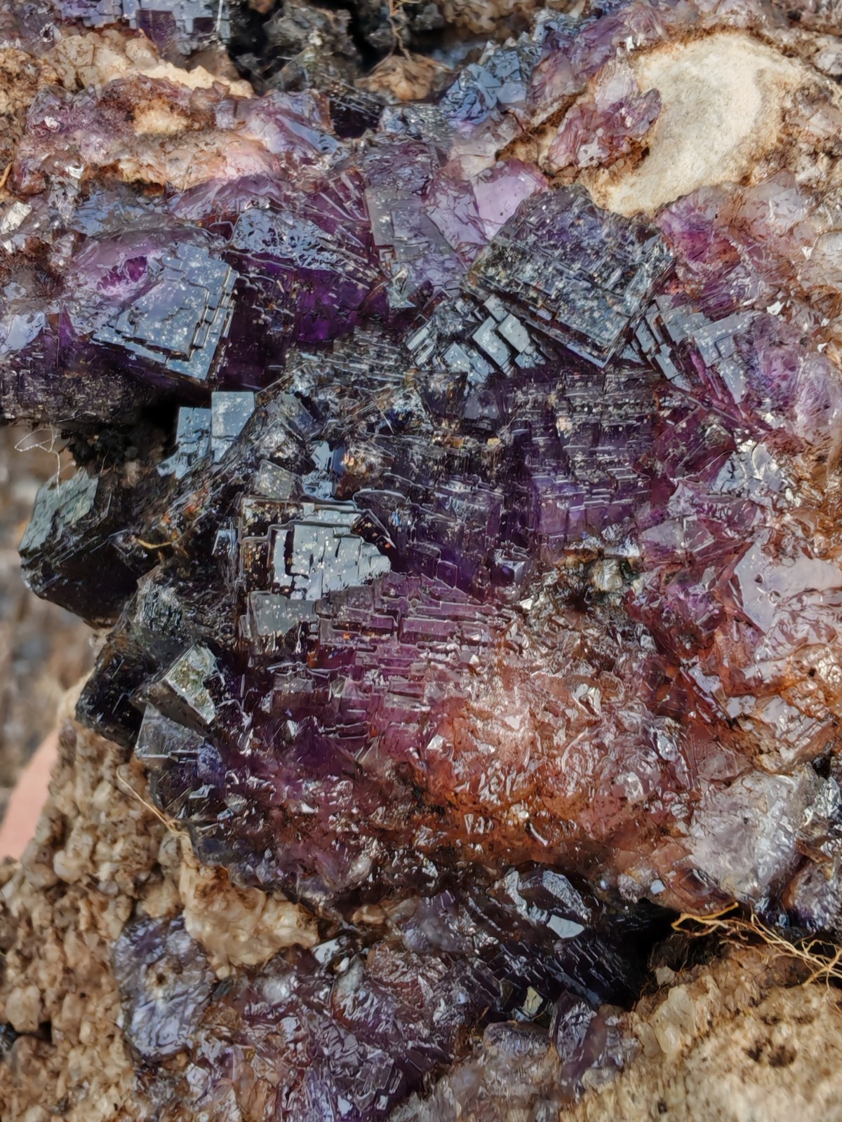 Blue John Fluorite Large Raw Crystal Cluster On Fossil Matrix