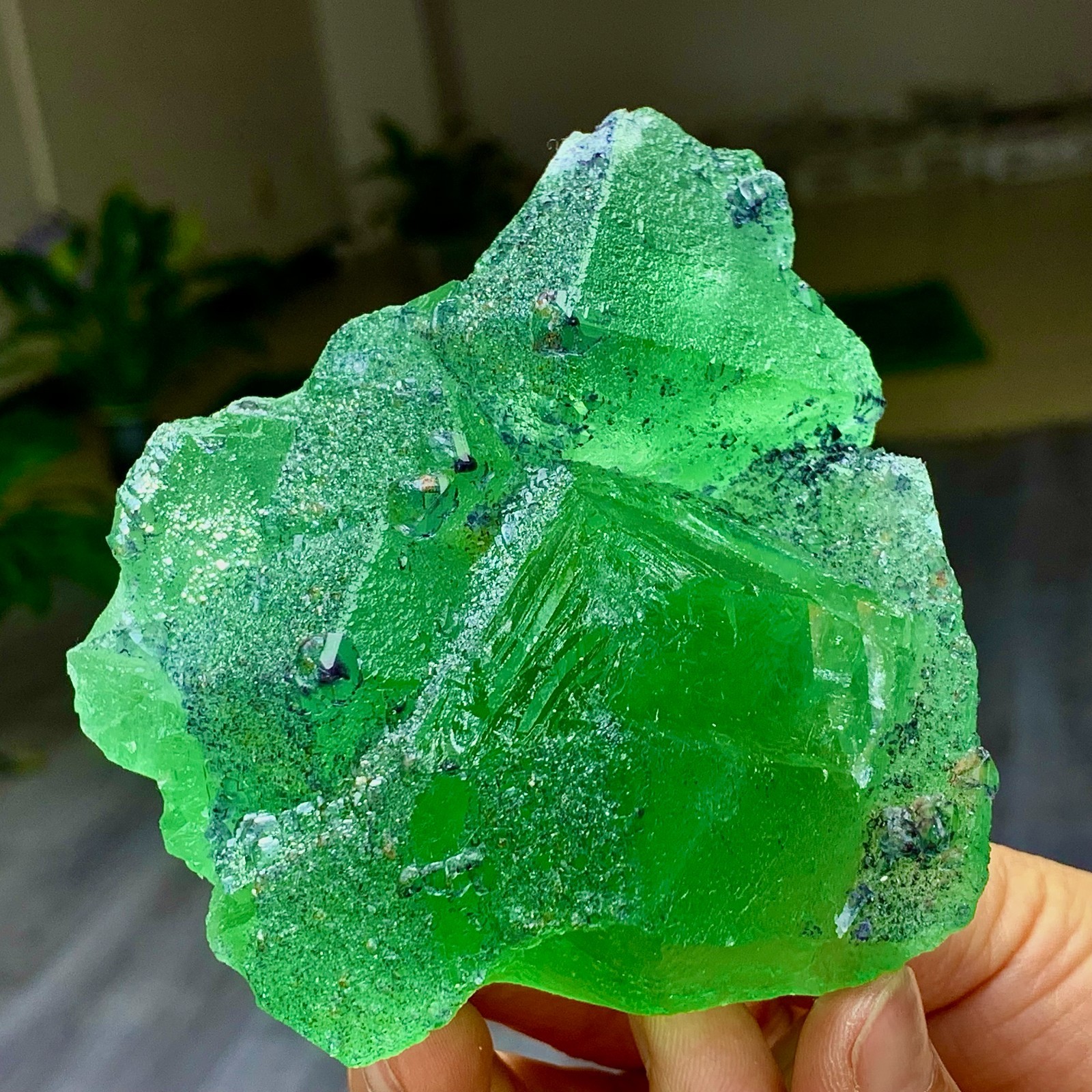 1.24LB Rare transparent green cubic Zhejiang fluorite mineral sample