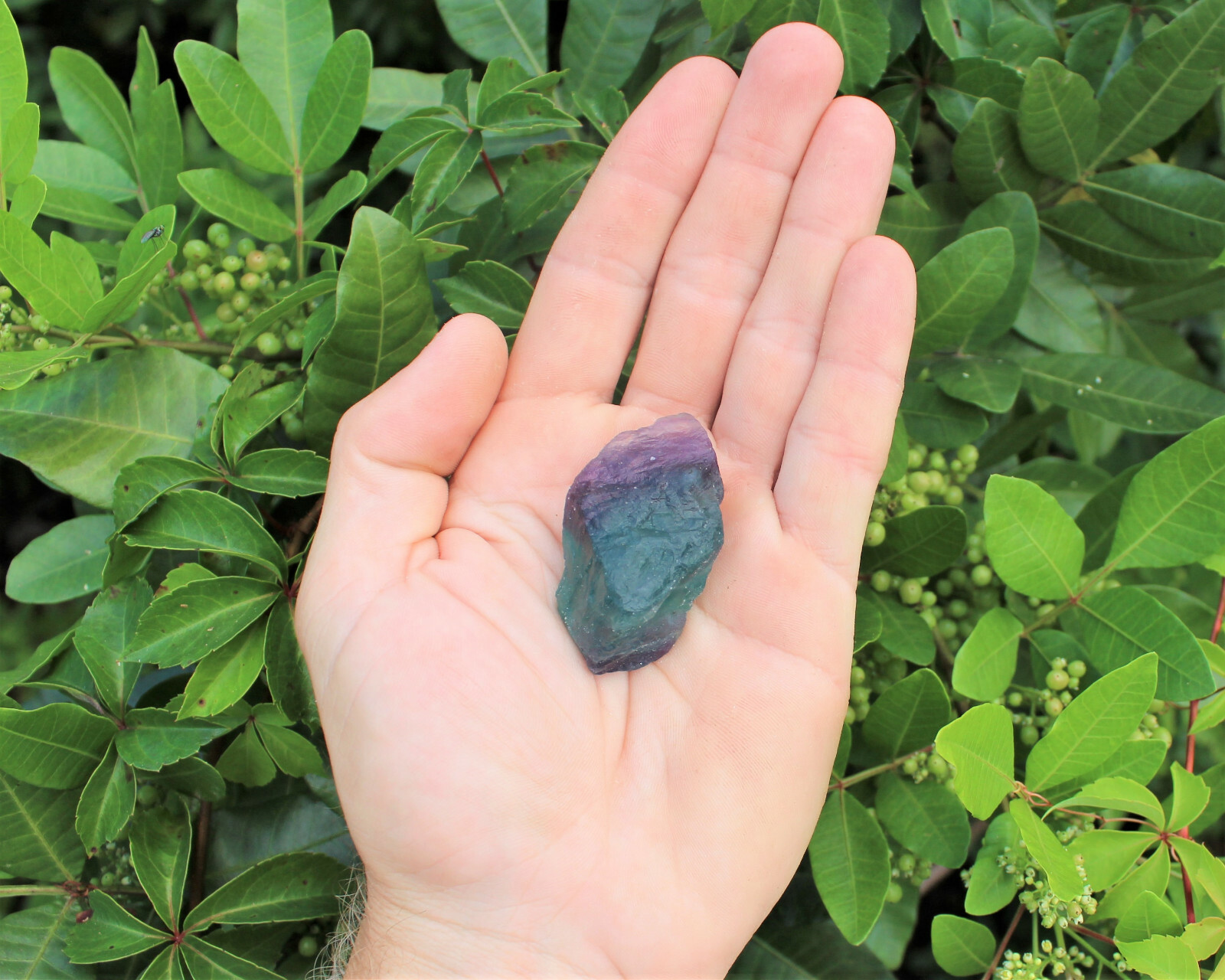 500 Carat Bulk Lot Natural Rough Fluorite (Raw Crystal Rock Healing 100 Grams)
