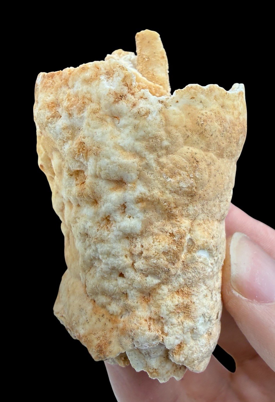 Structural Aragonite Crystals : Central Tennessee , United States 🇺🇸